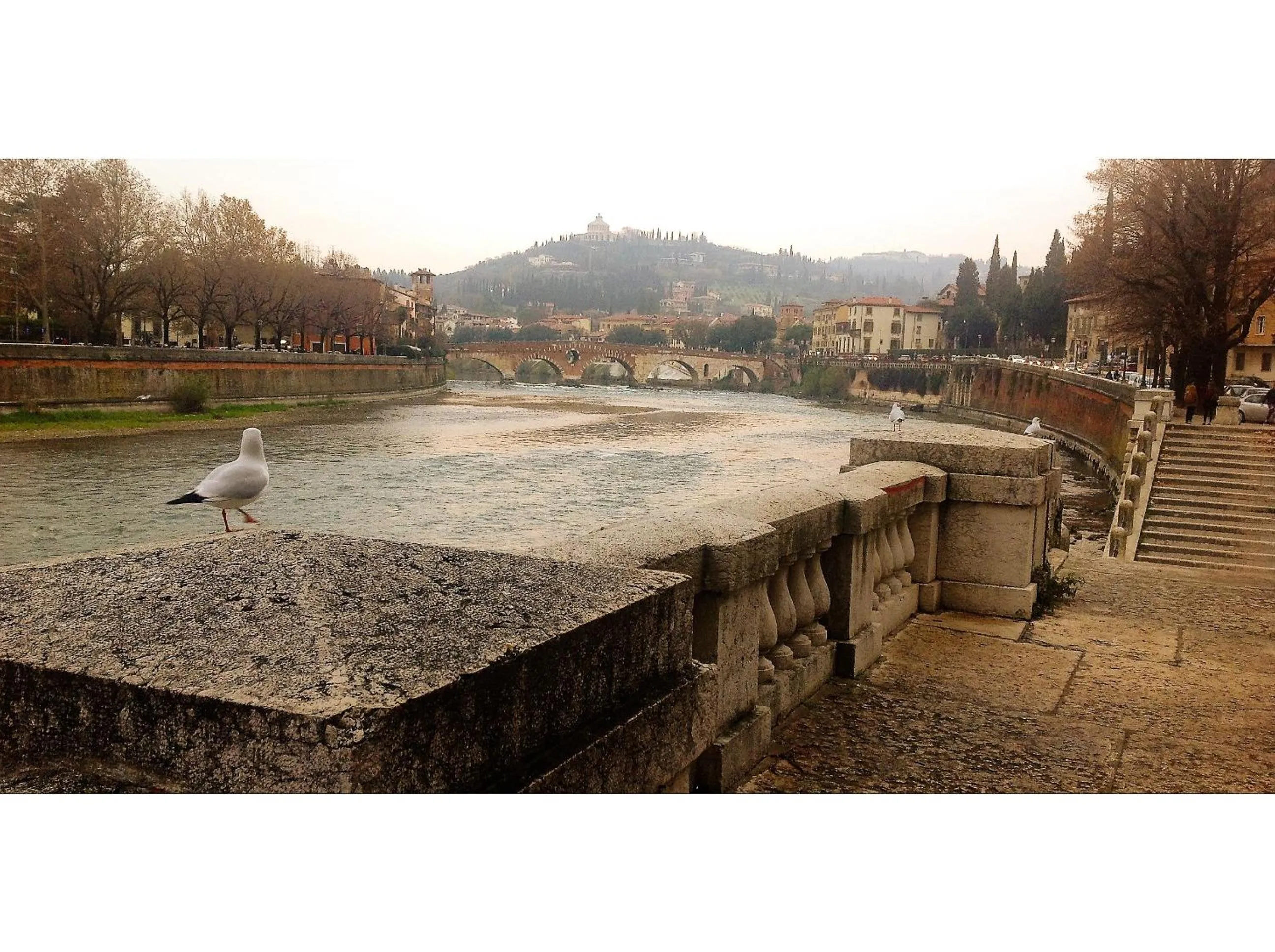 Location in Florivana Boutique Hotel