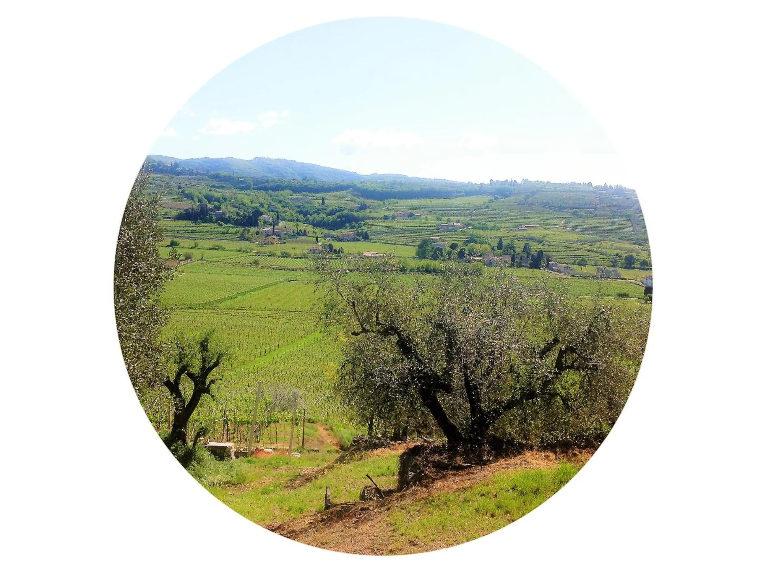 Other in Florivana Boutique Hotel