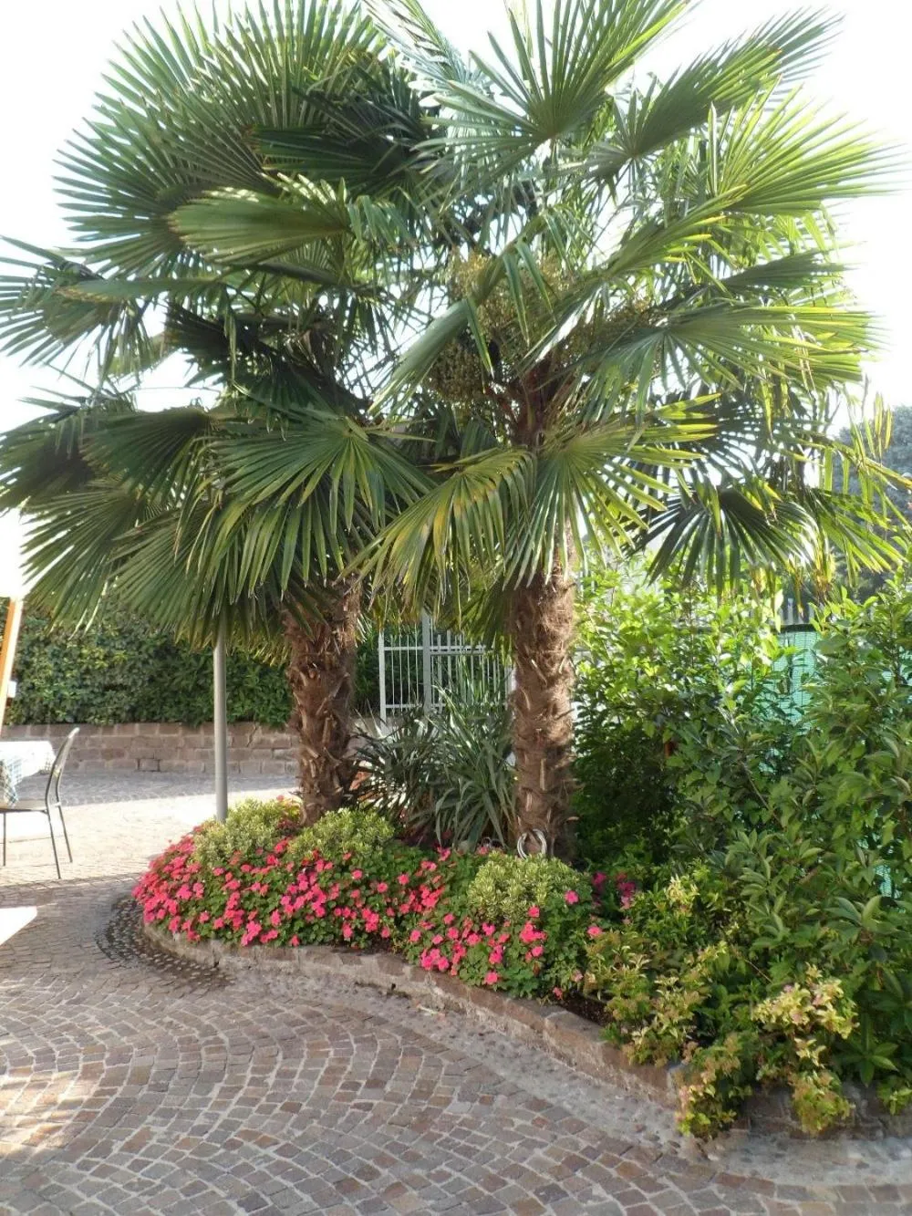 Spring in Florivana Boutique Hotel