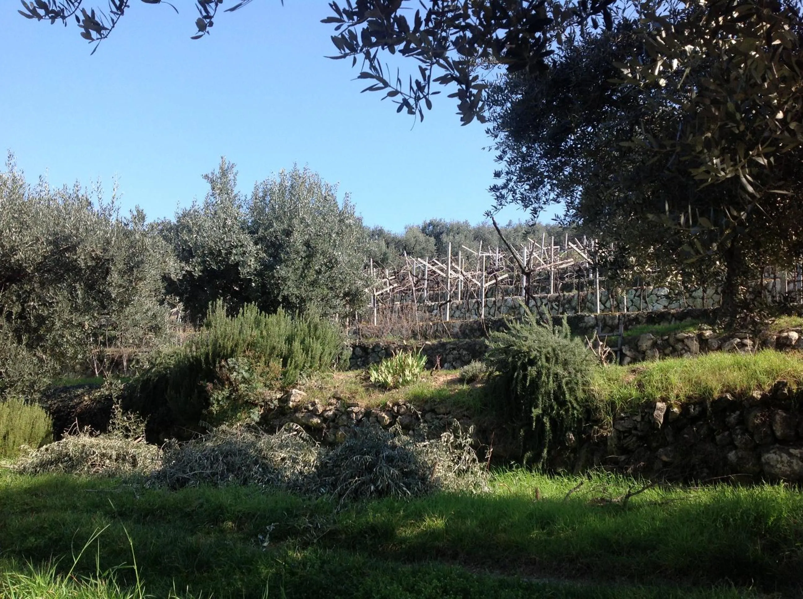 Natural landscape in Florivana Boutique Hotel