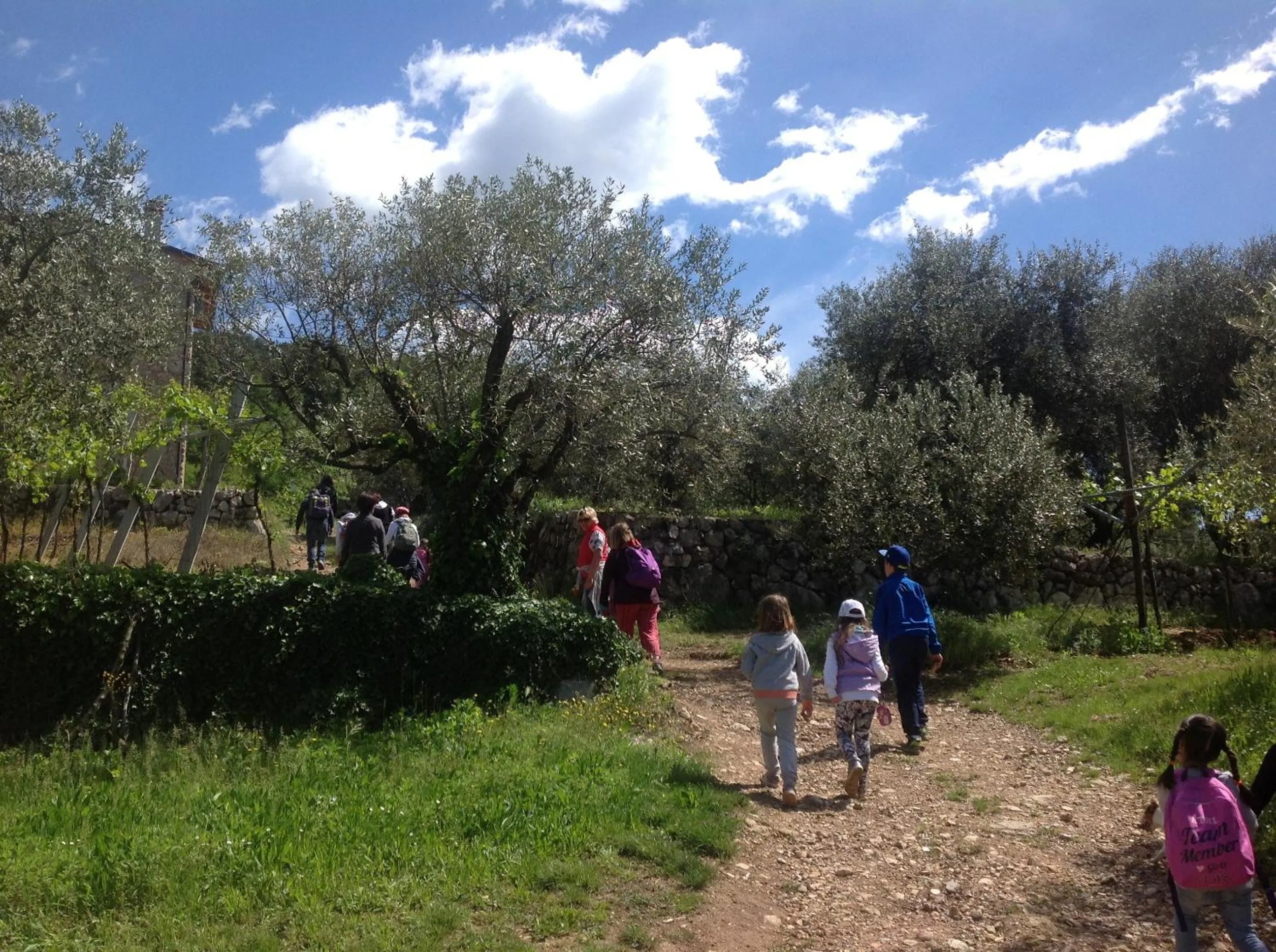 Entertainment in Florivana Boutique Hotel