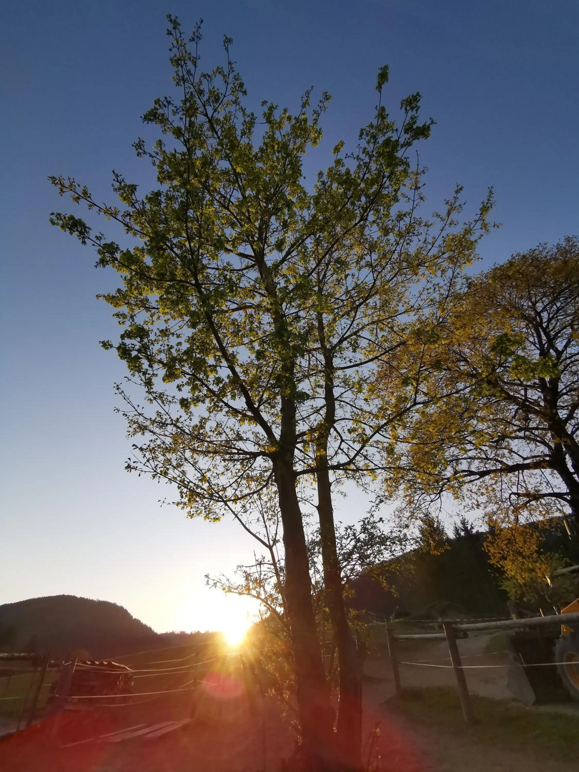 Spring in Ferienwohnung Schlögelhofer