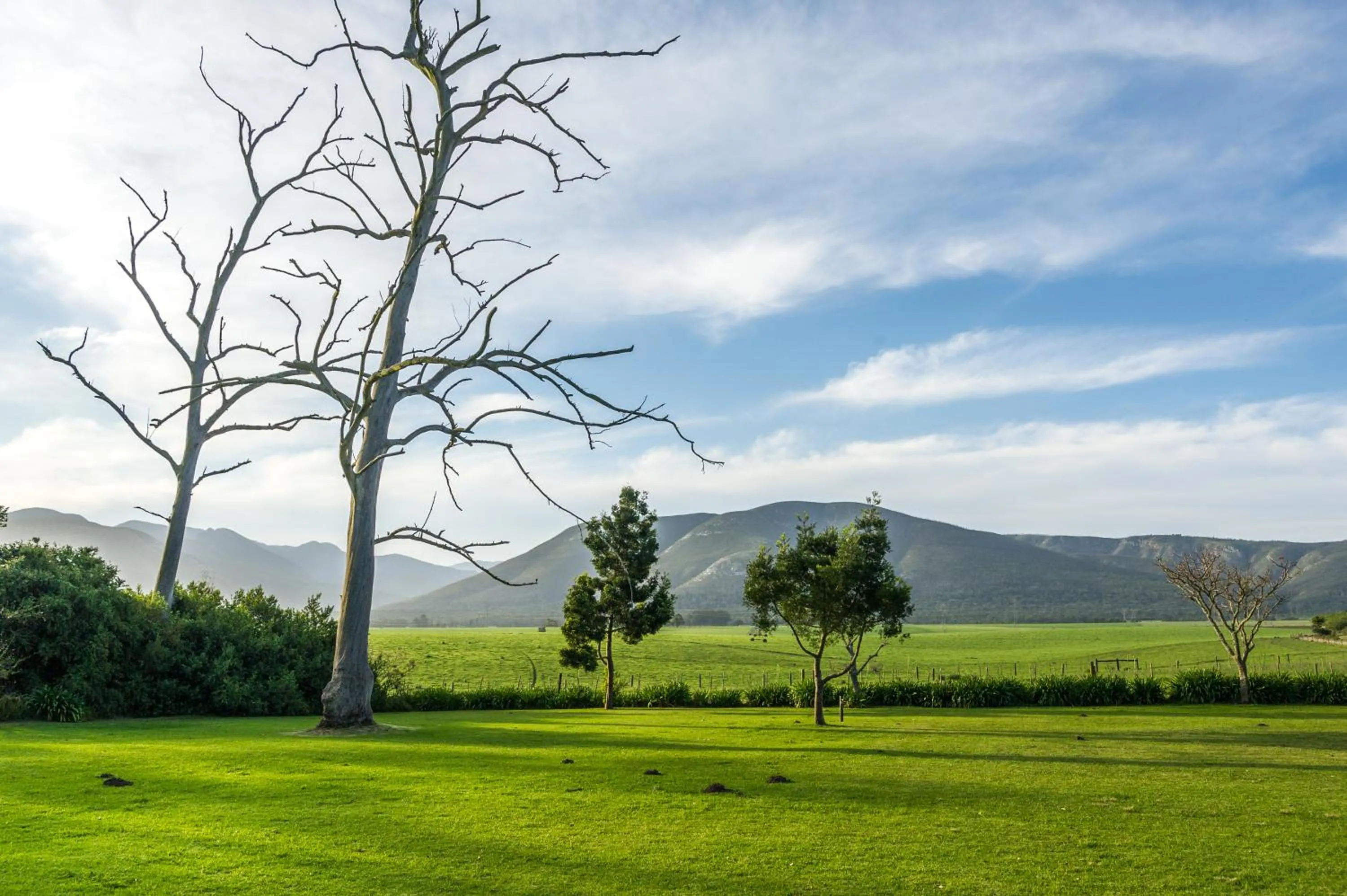 Natural landscape in Oakhurst Farm Cottages