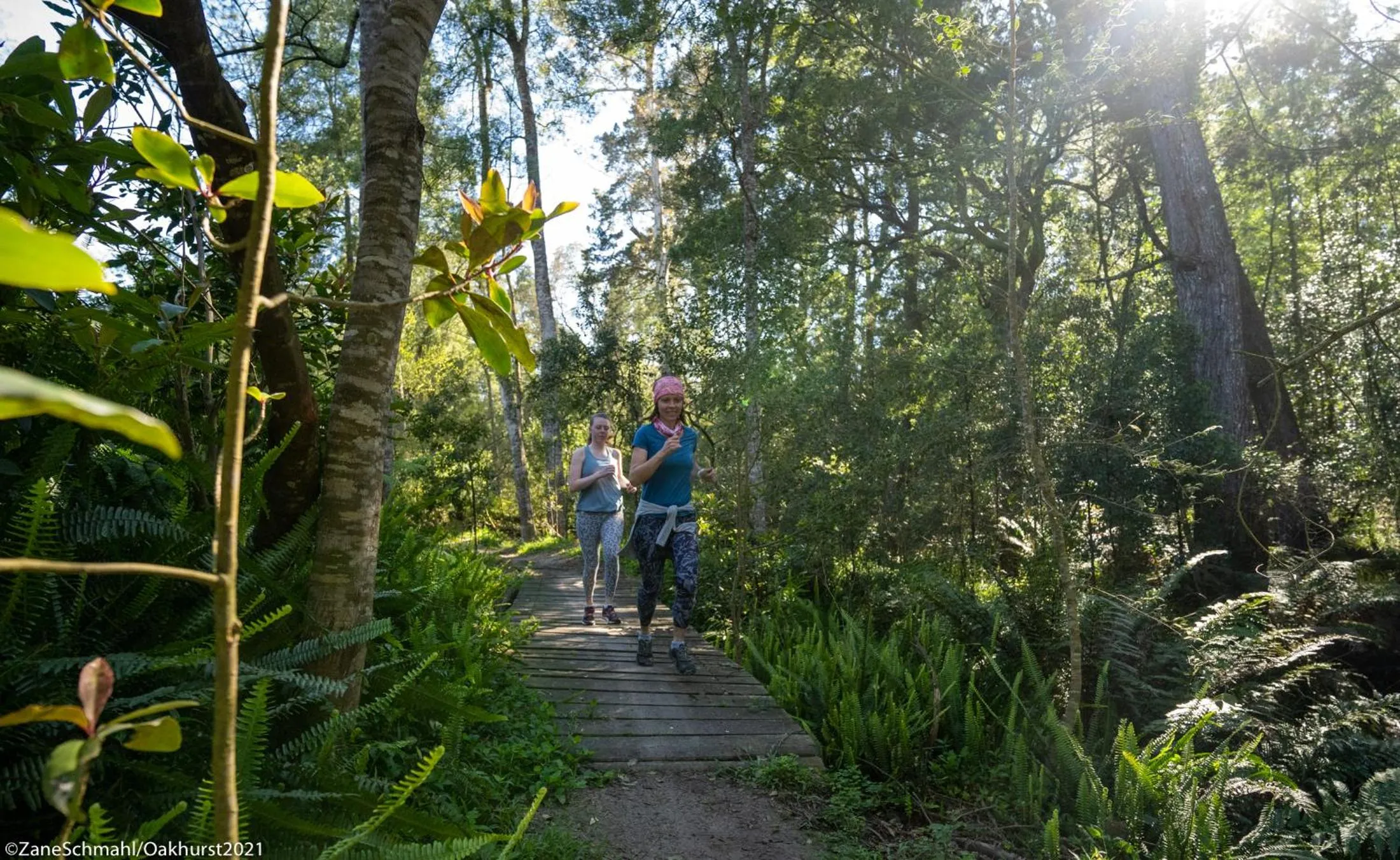 Activities in Oakhurst Farm Cottages