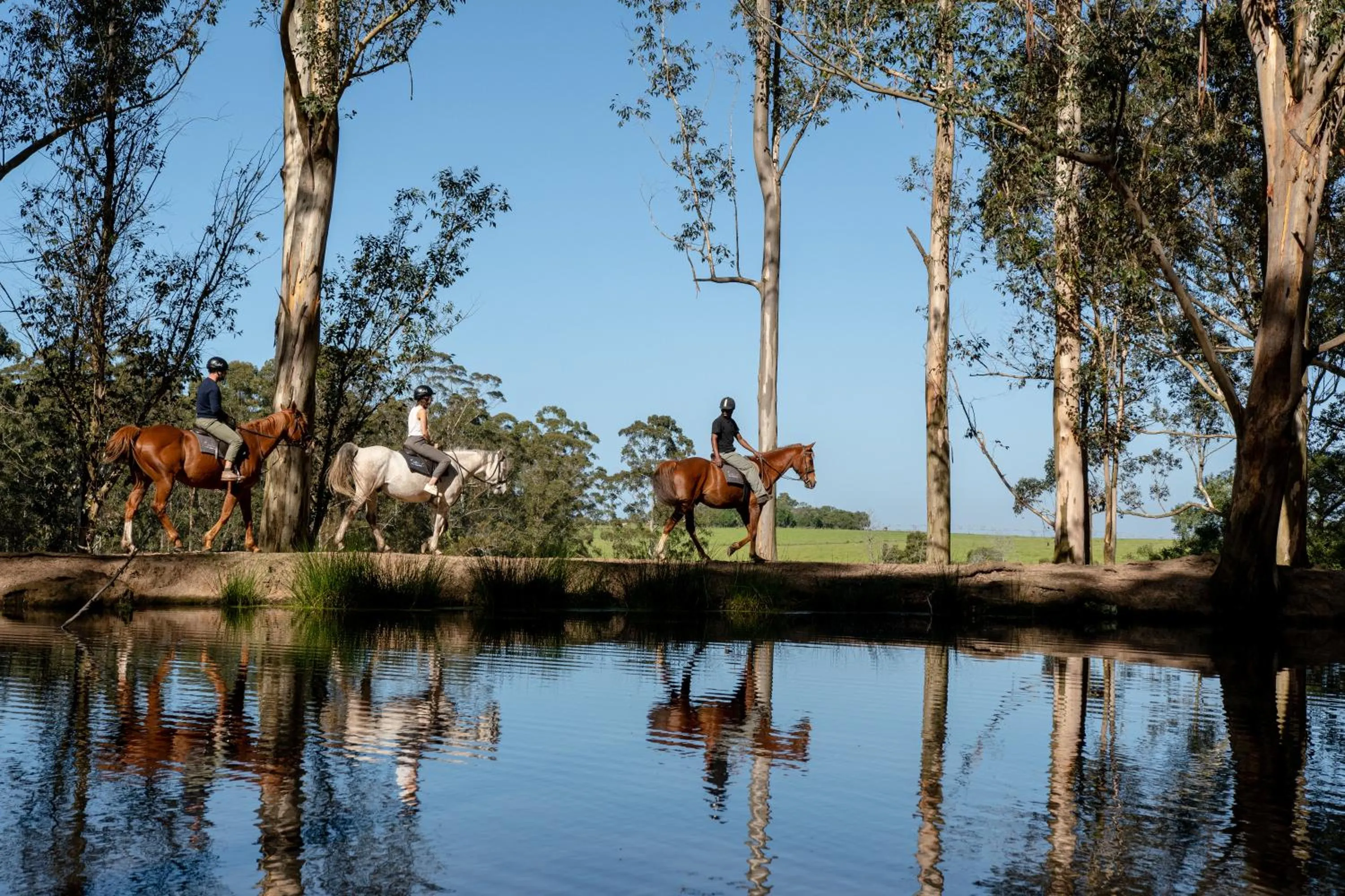 Natural landscape in Oakhurst Farm Cottages