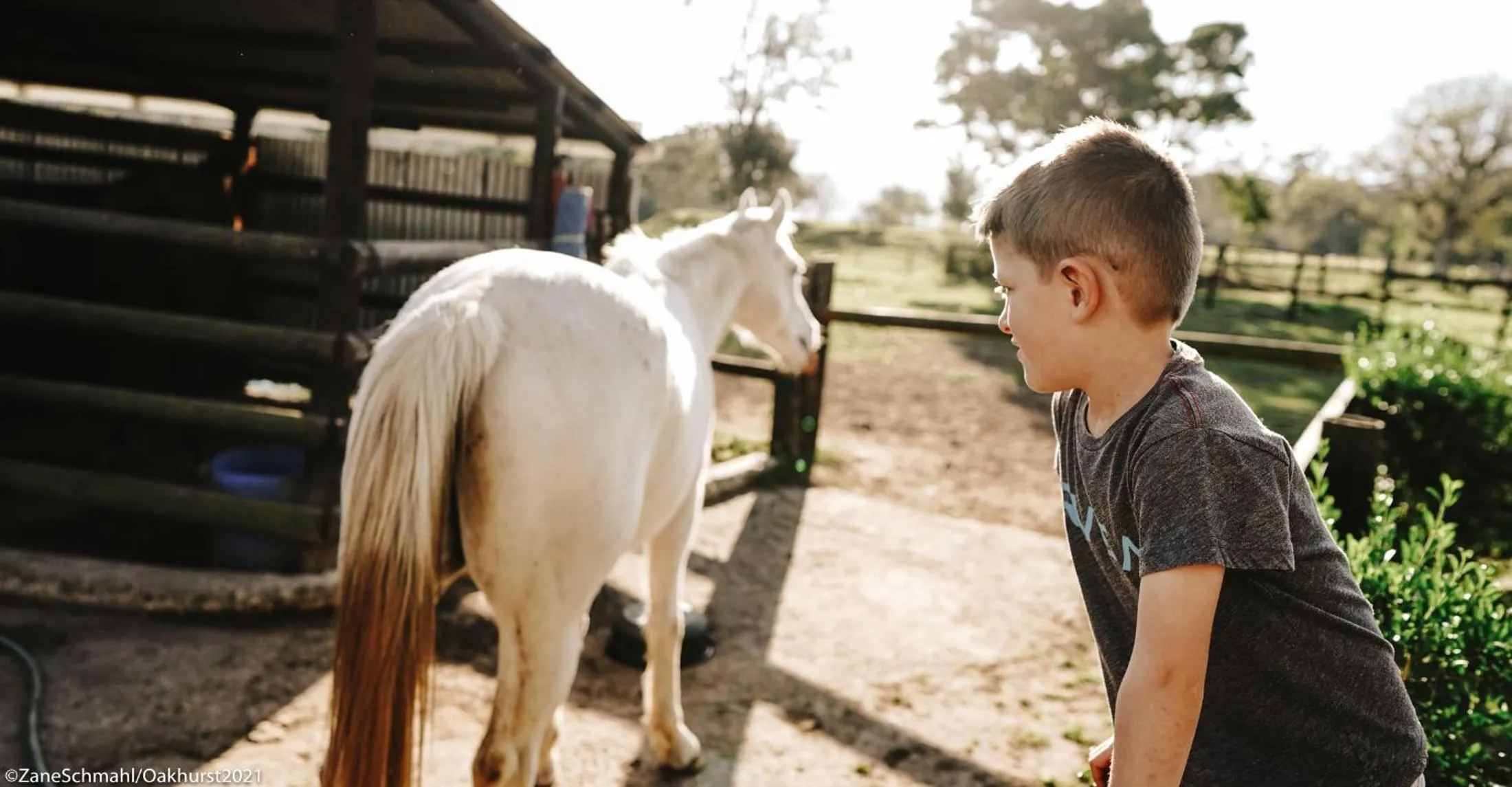 Activities in Oakhurst Farm Cottages