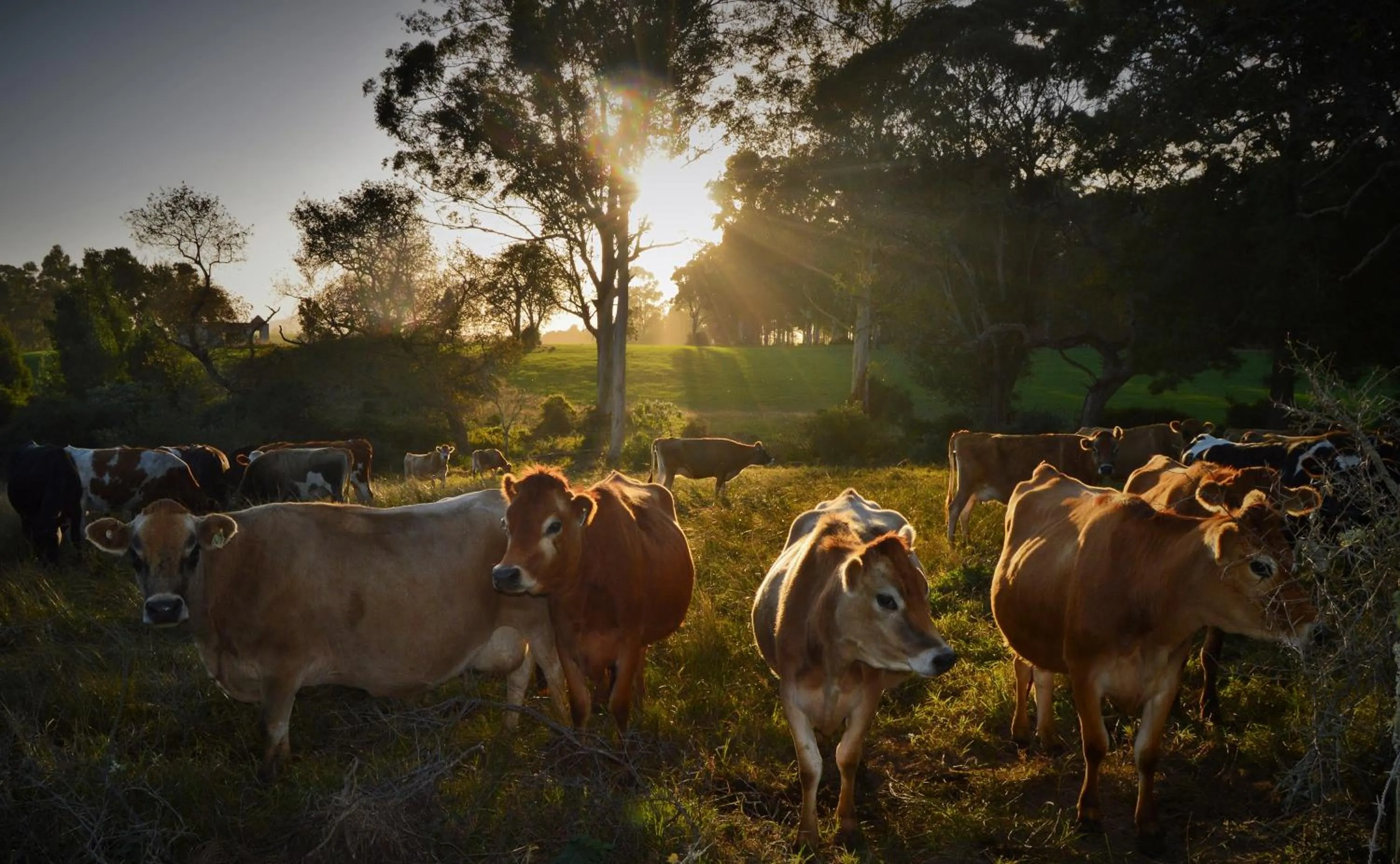 Natural landscape in Oakhurst Farm Cottages