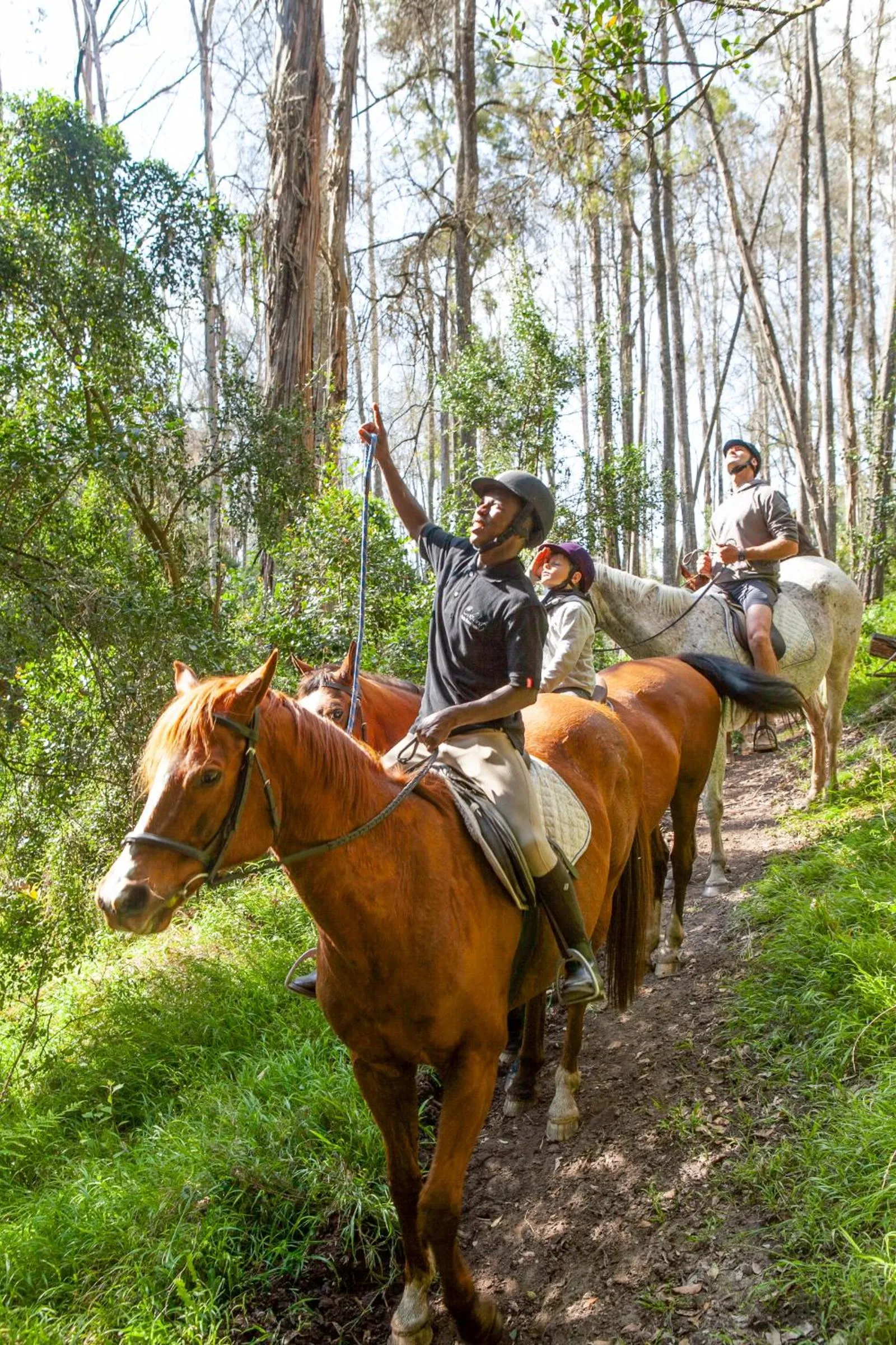 People in Oakhurst Farm Cottages