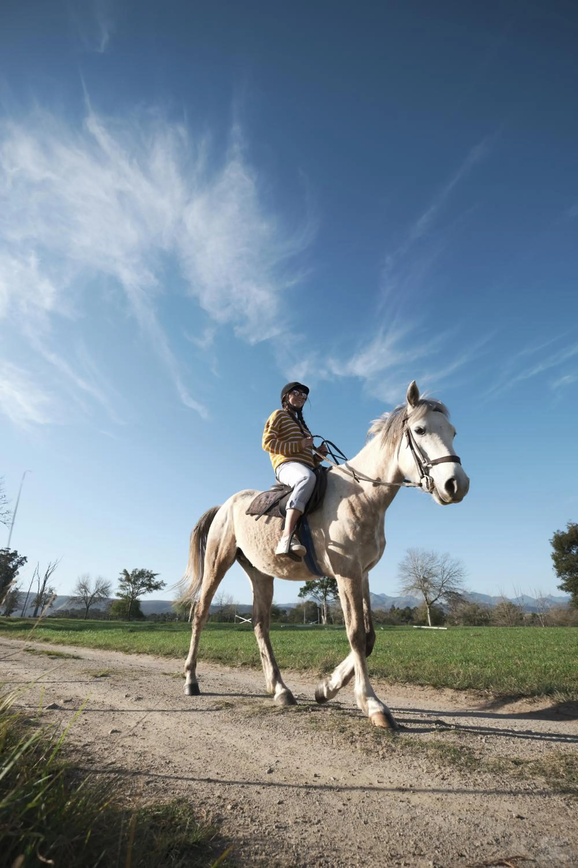 Activities in Oakhurst Farm Cottages