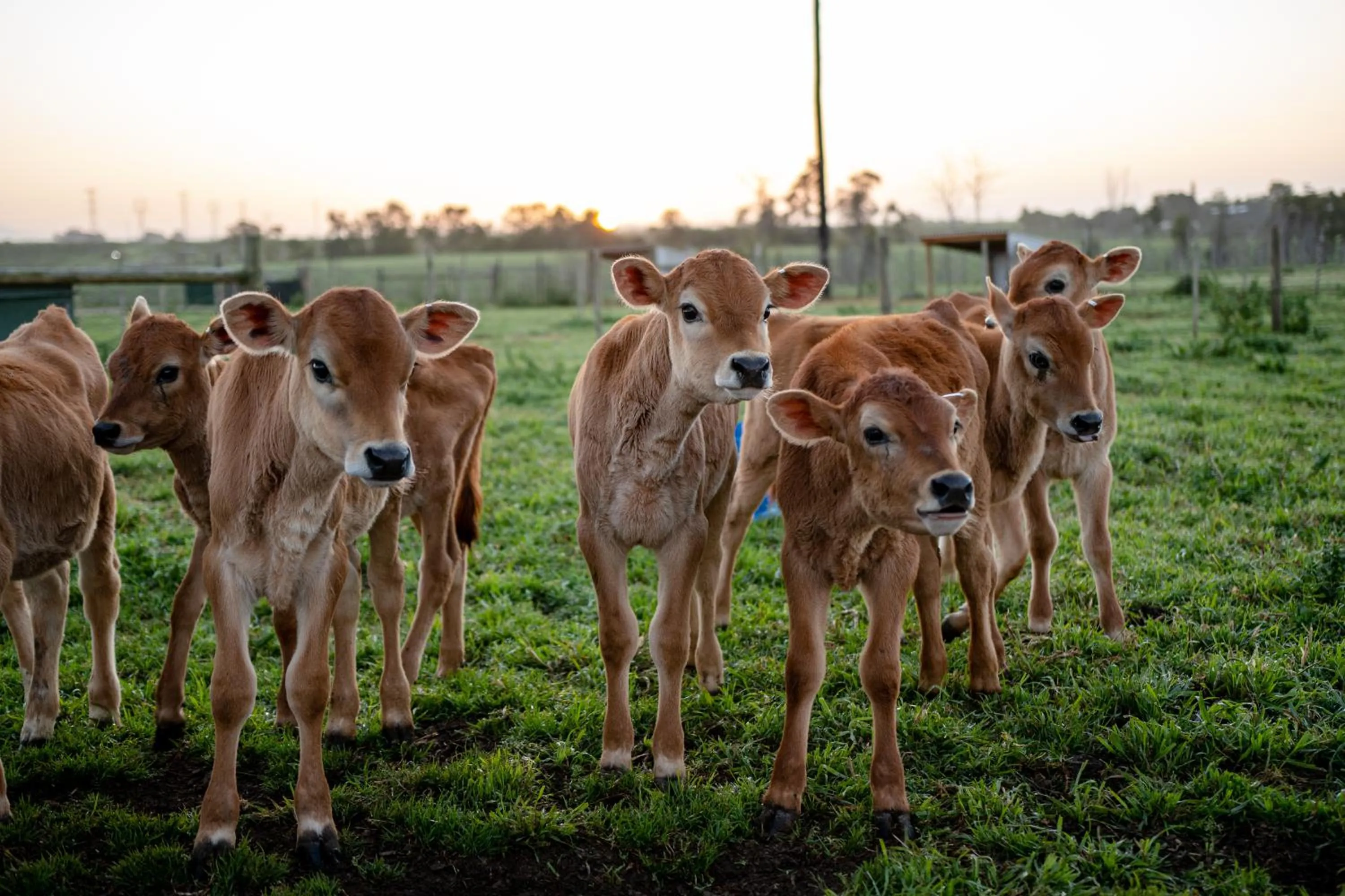 Activities in Oakhurst Farm Cottages