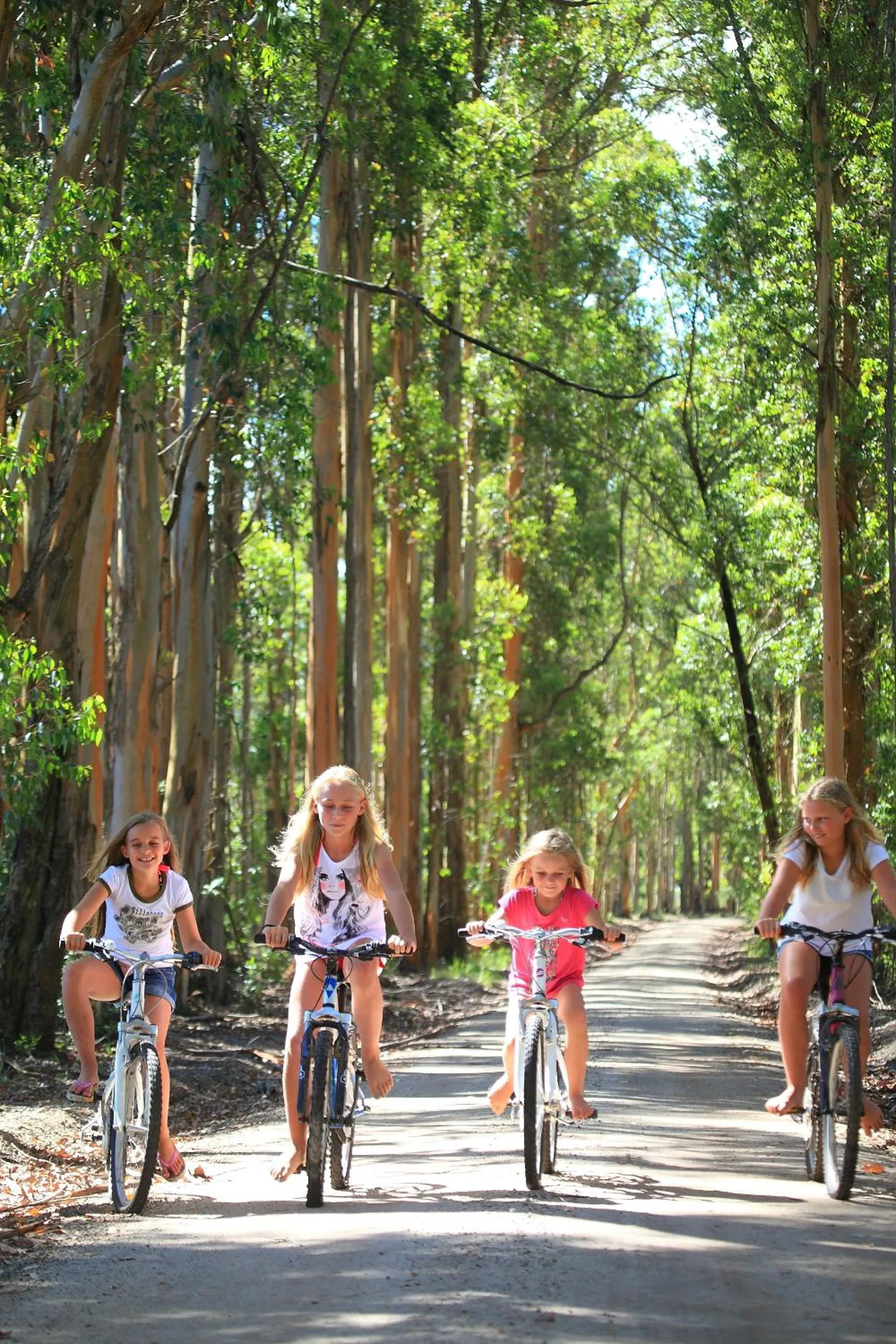 Cycling in Oakhurst Farm Cottages
