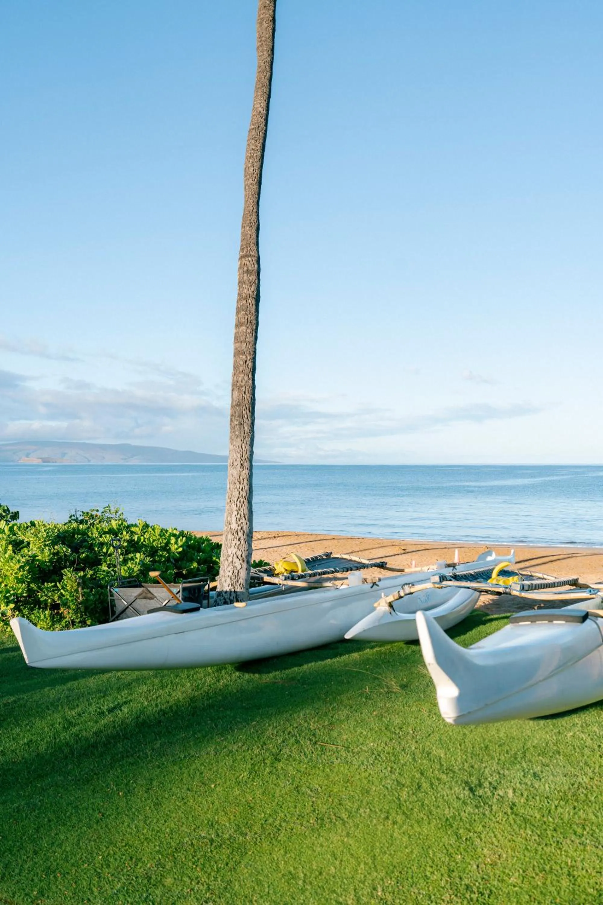 Beach in Hotel Wailea, Relais & Châteaux - Adults Only
