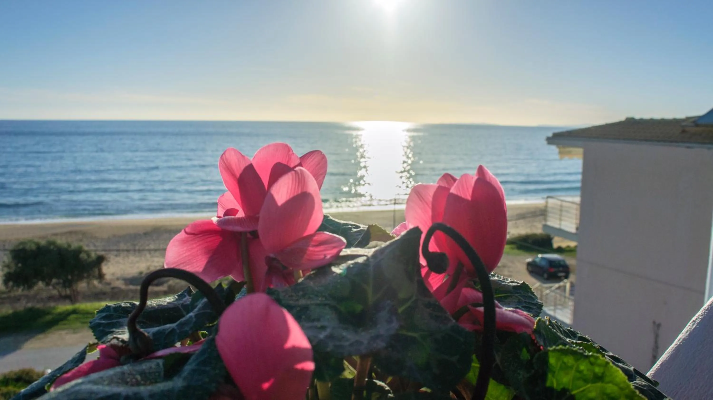 Sea view in Studios Magda