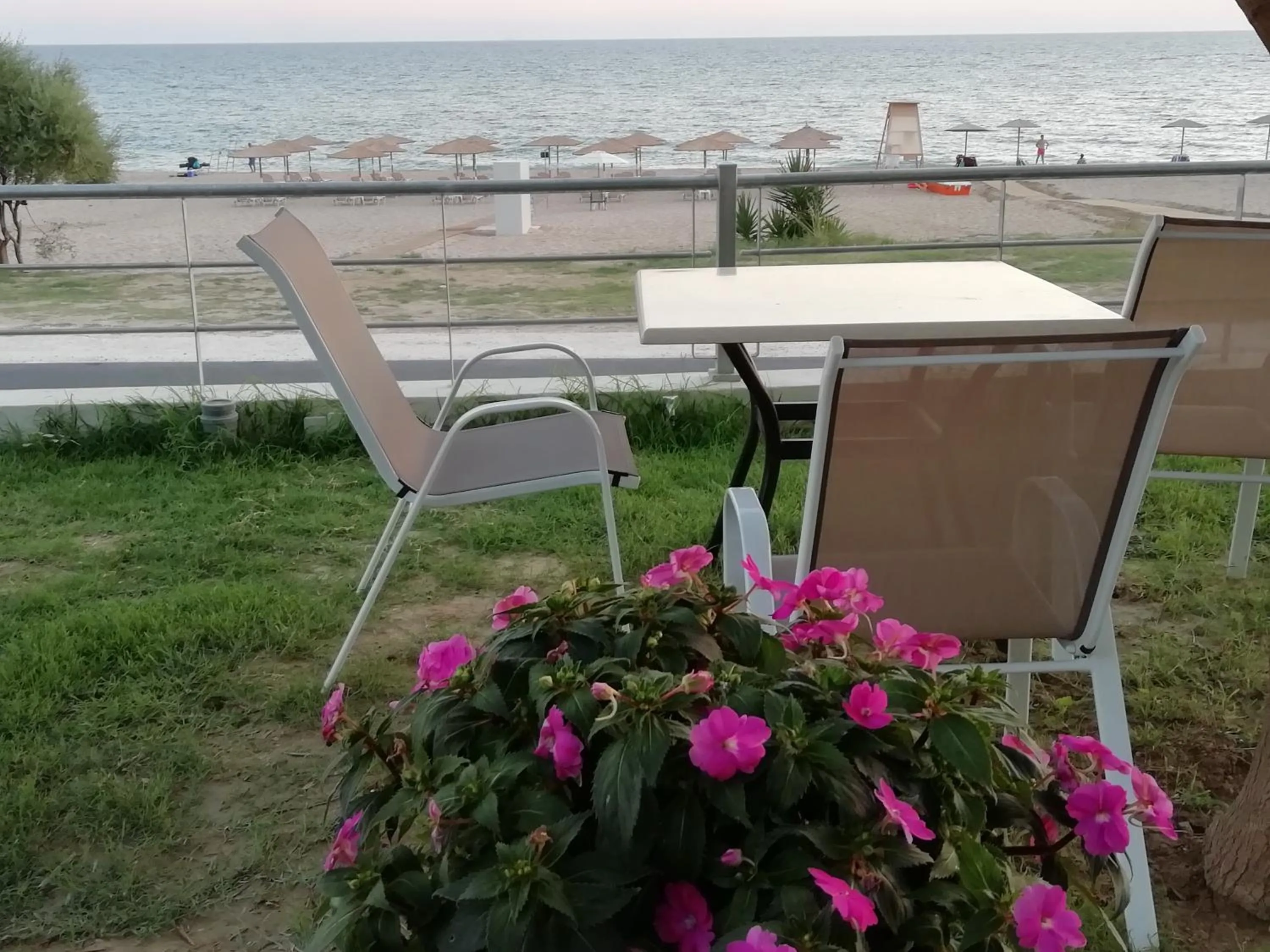 Restaurant/places to eat in Studios Magda