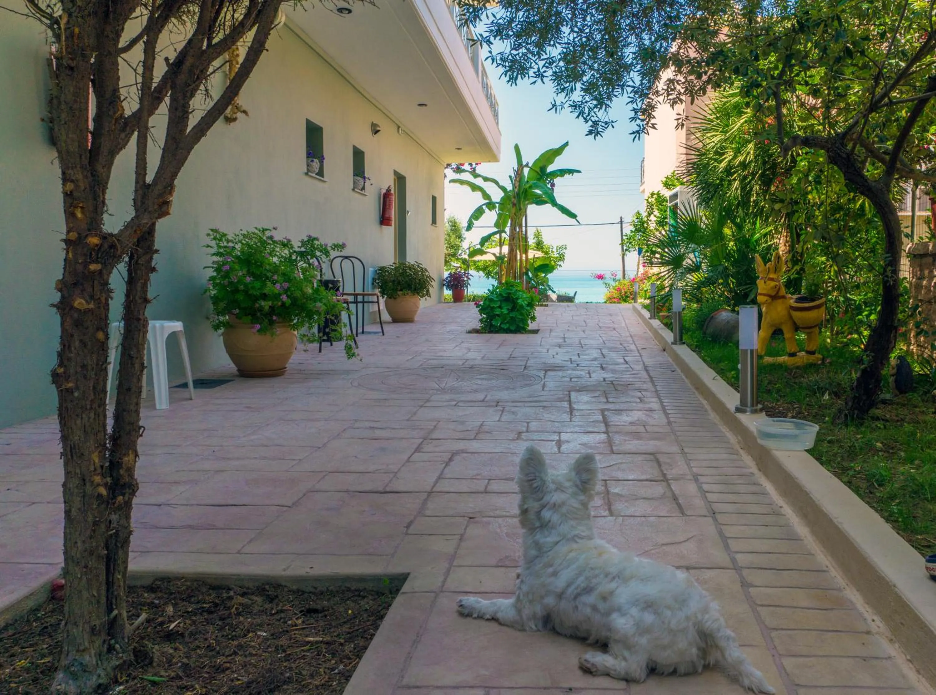 Property building in Studios Magda