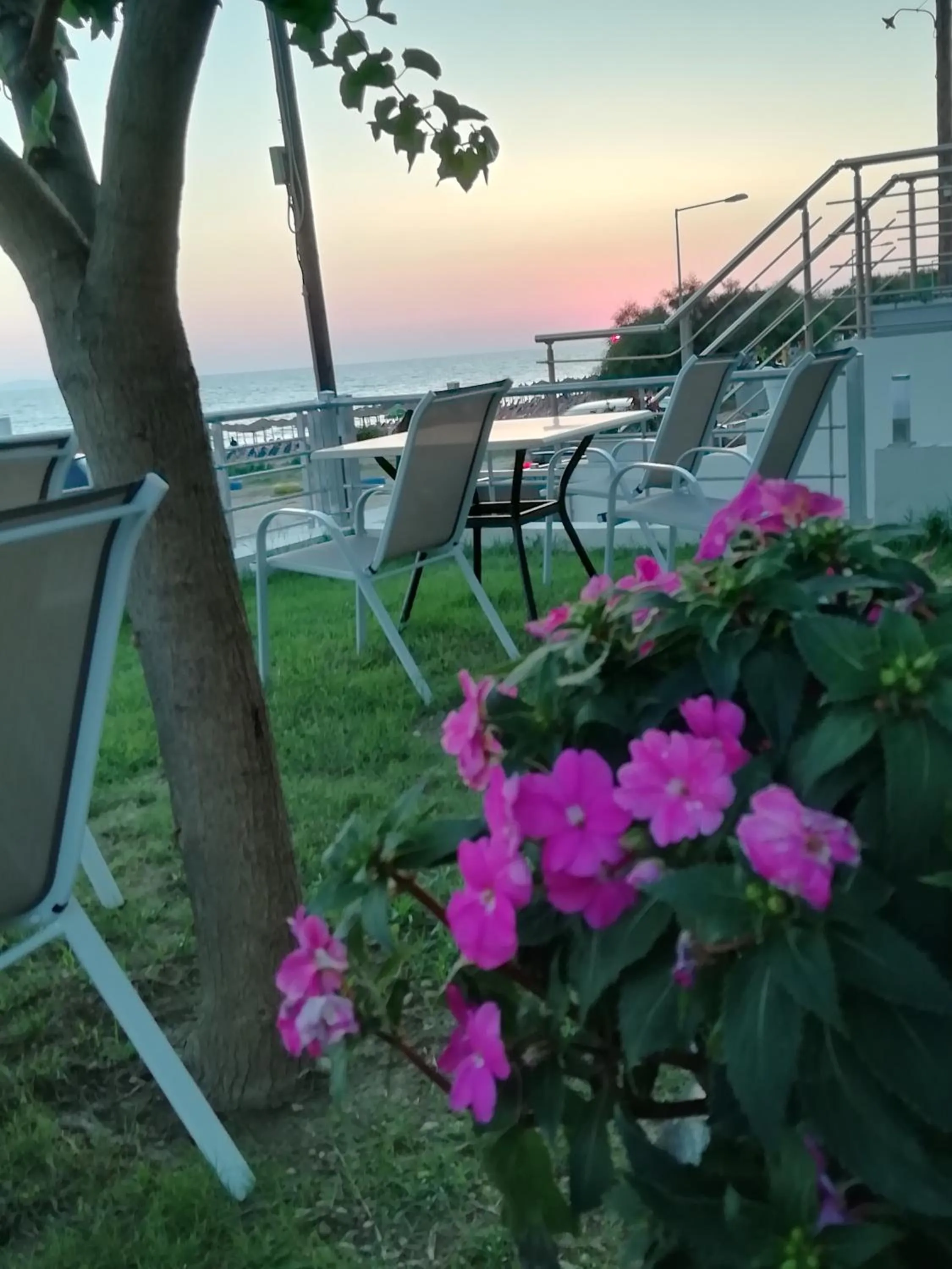 Garden in Studios Magda