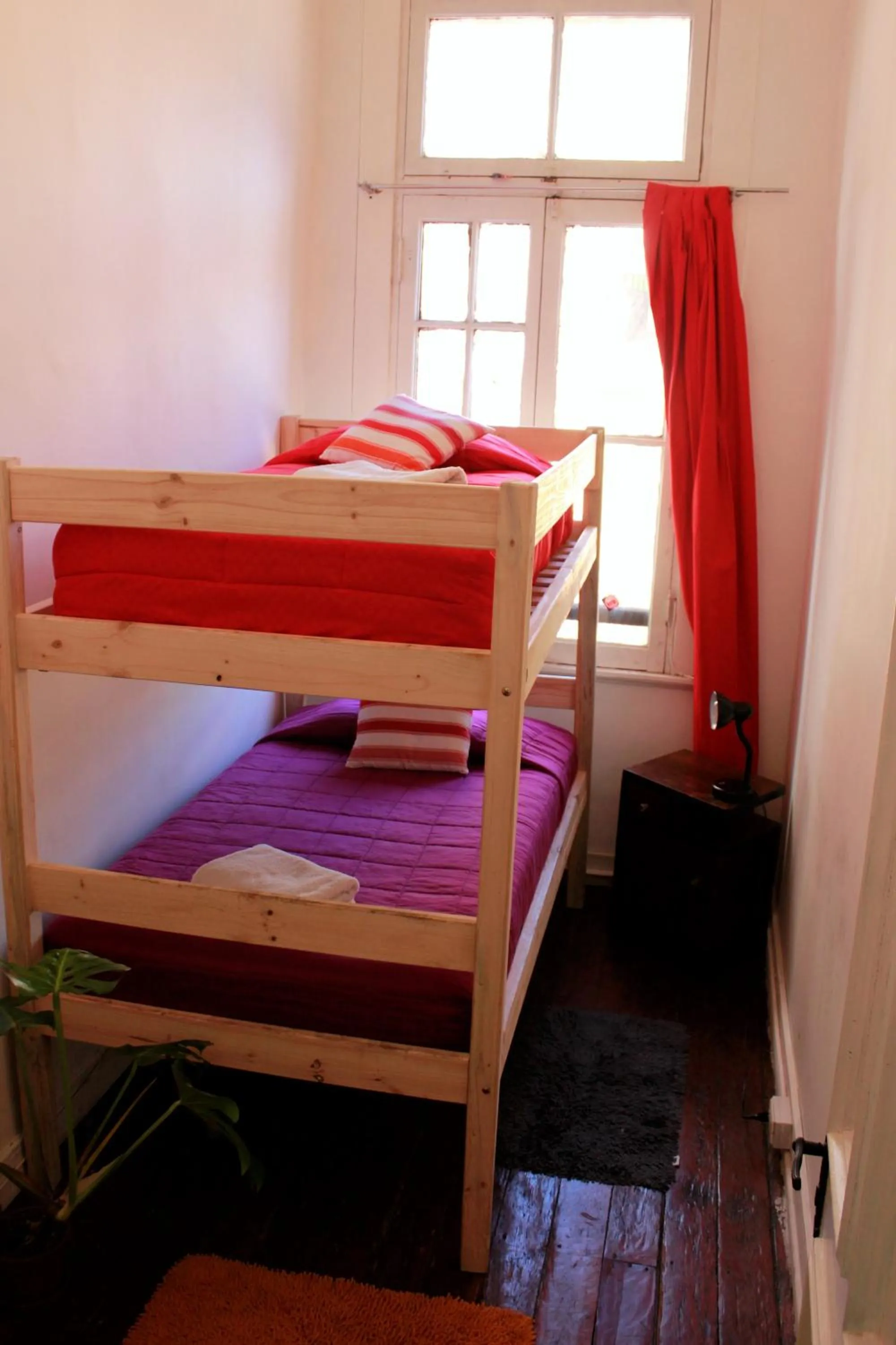 bunk bed, Bed in Casa Volante Hostal