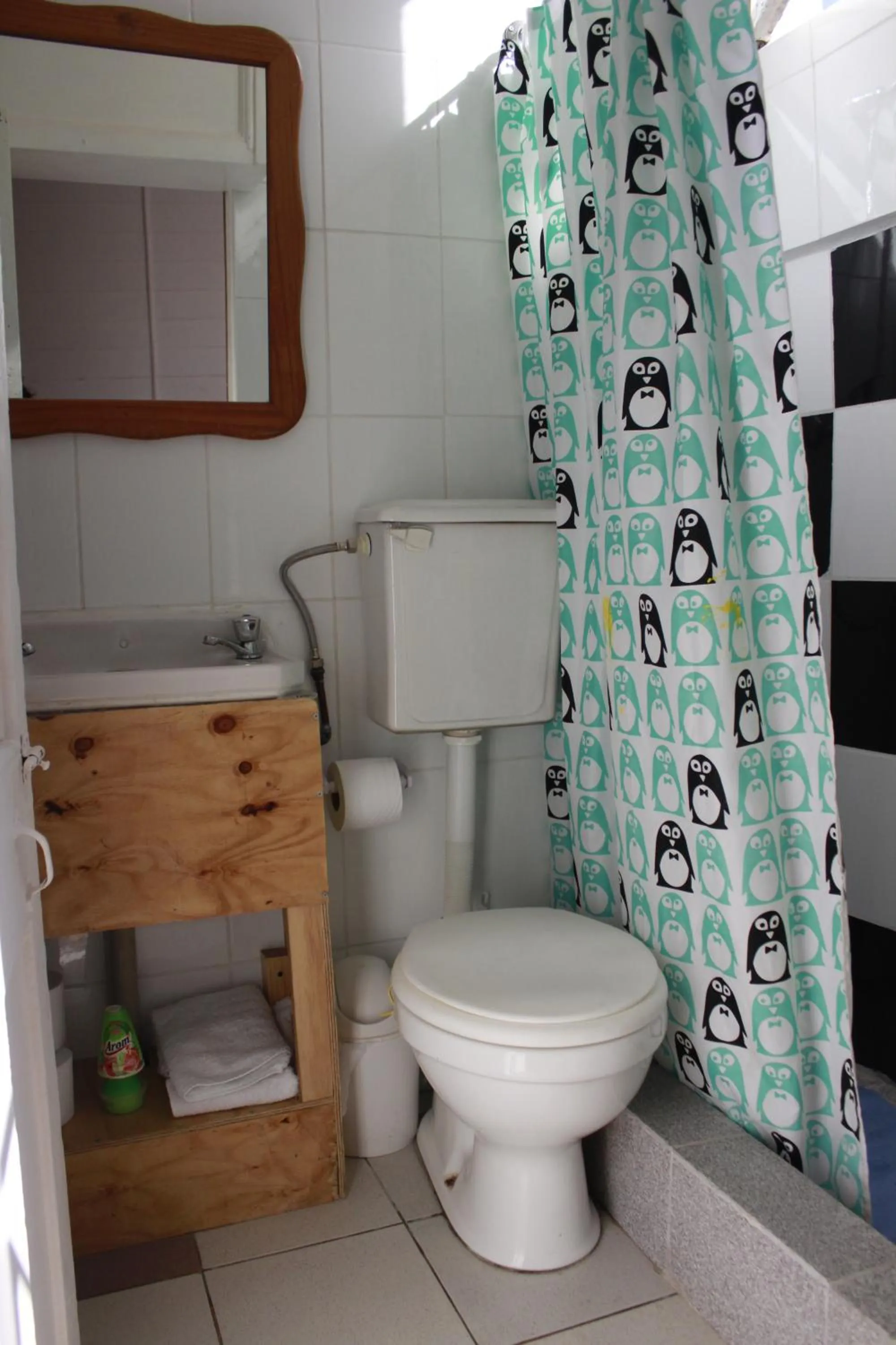 Bathroom in Casa Volante Hostal