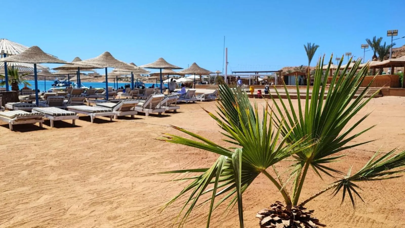 Beach in Turquoise Beach Hotel