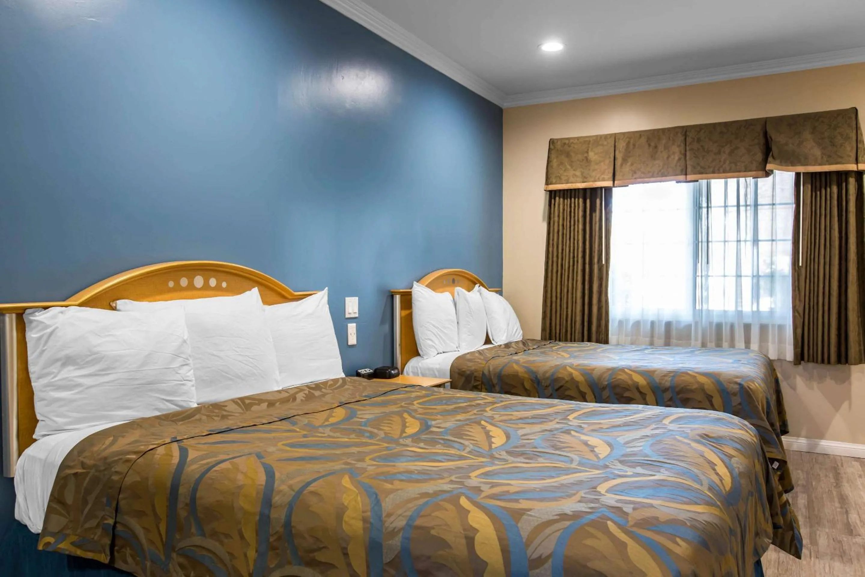 Bedroom, Bed in Rodeway Inn Escondido Downtown