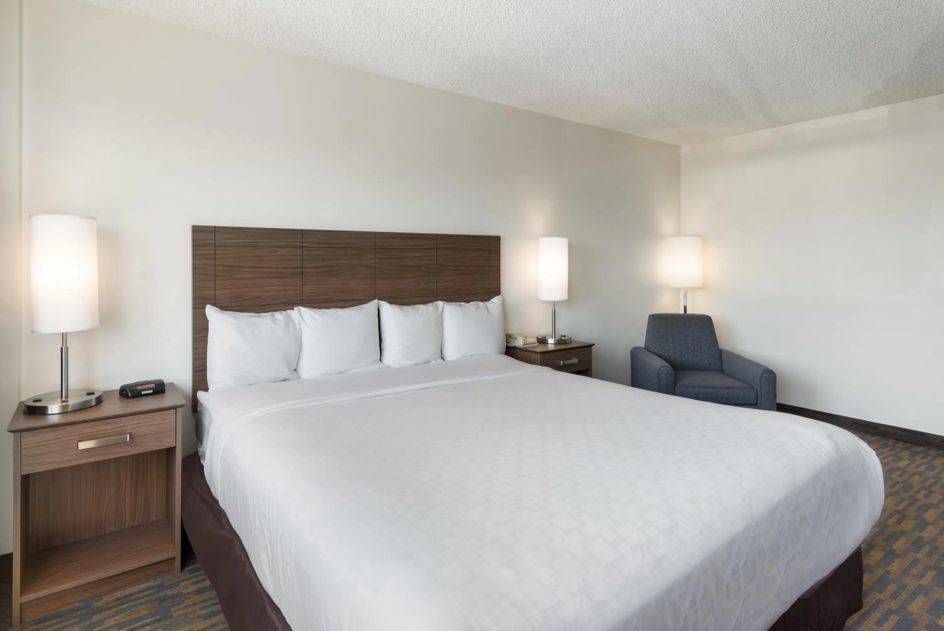 Bedroom, Bed in Clarion Hotel Concord-Walnut Creek