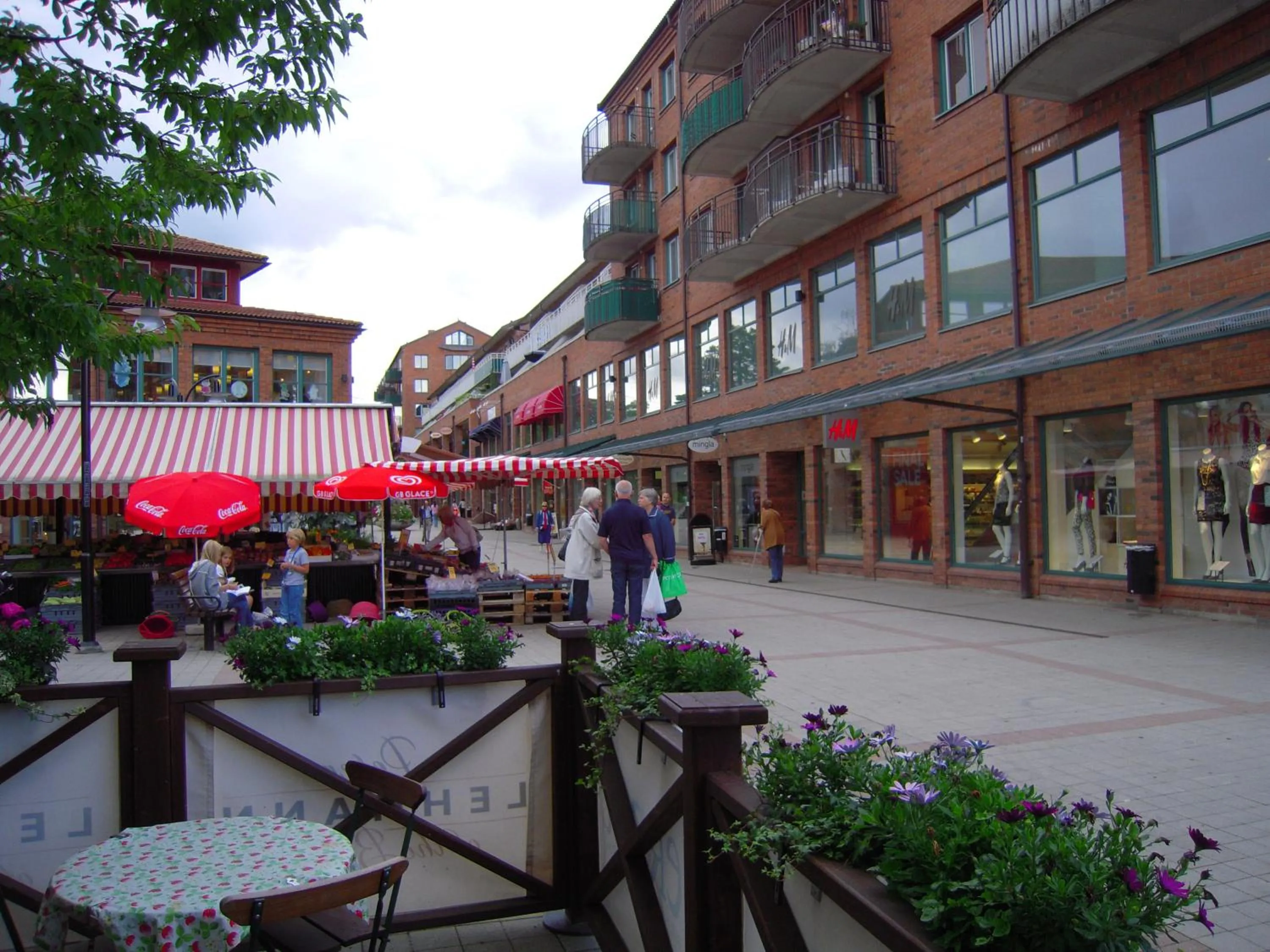 Area and facilities in Ariston Hotell