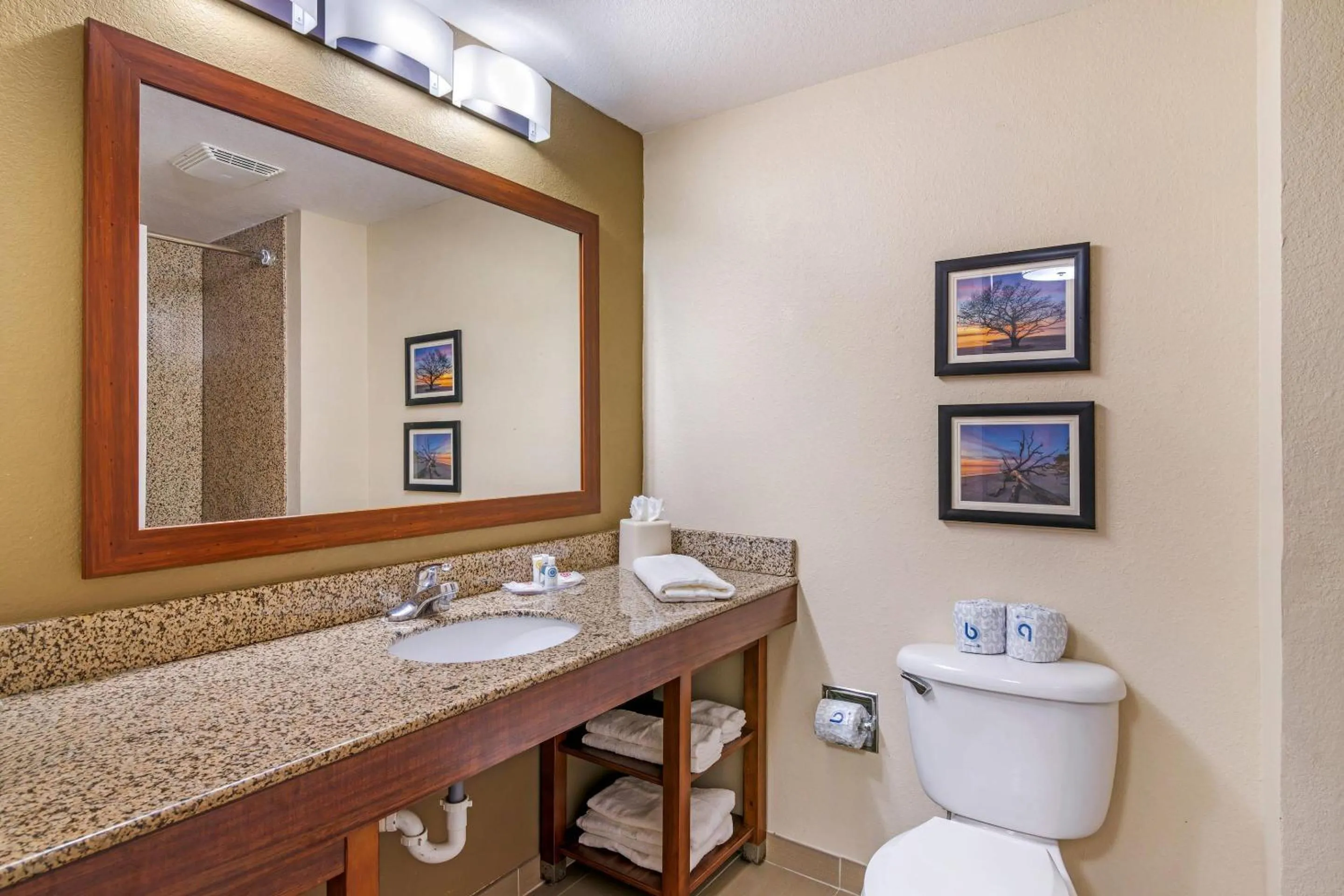 Bedroom in Comfort Suites Brunswick