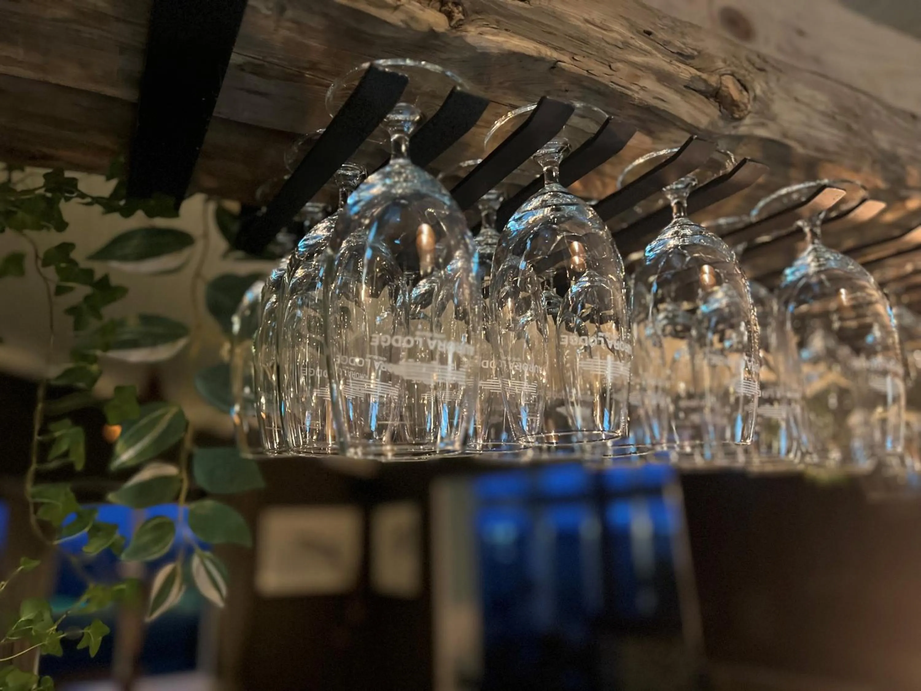 Lounge or bar in Aurora Lodge Hotel