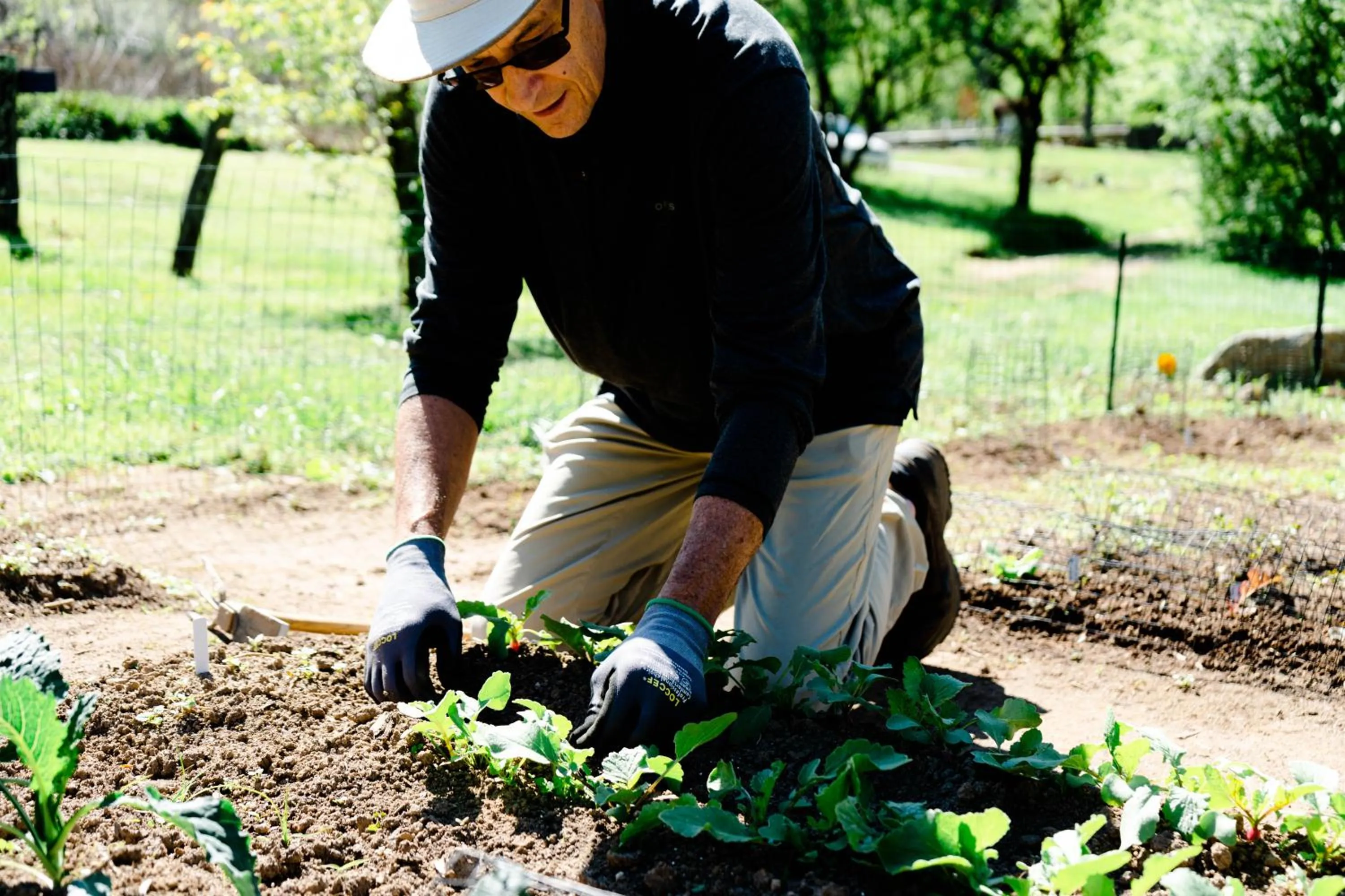 Garden in Highland Lake Inn & Resort - Flat Rock