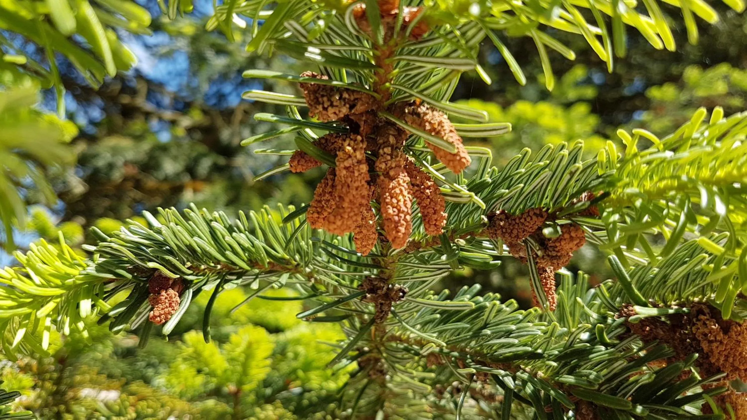 Le Clos des Écureuils