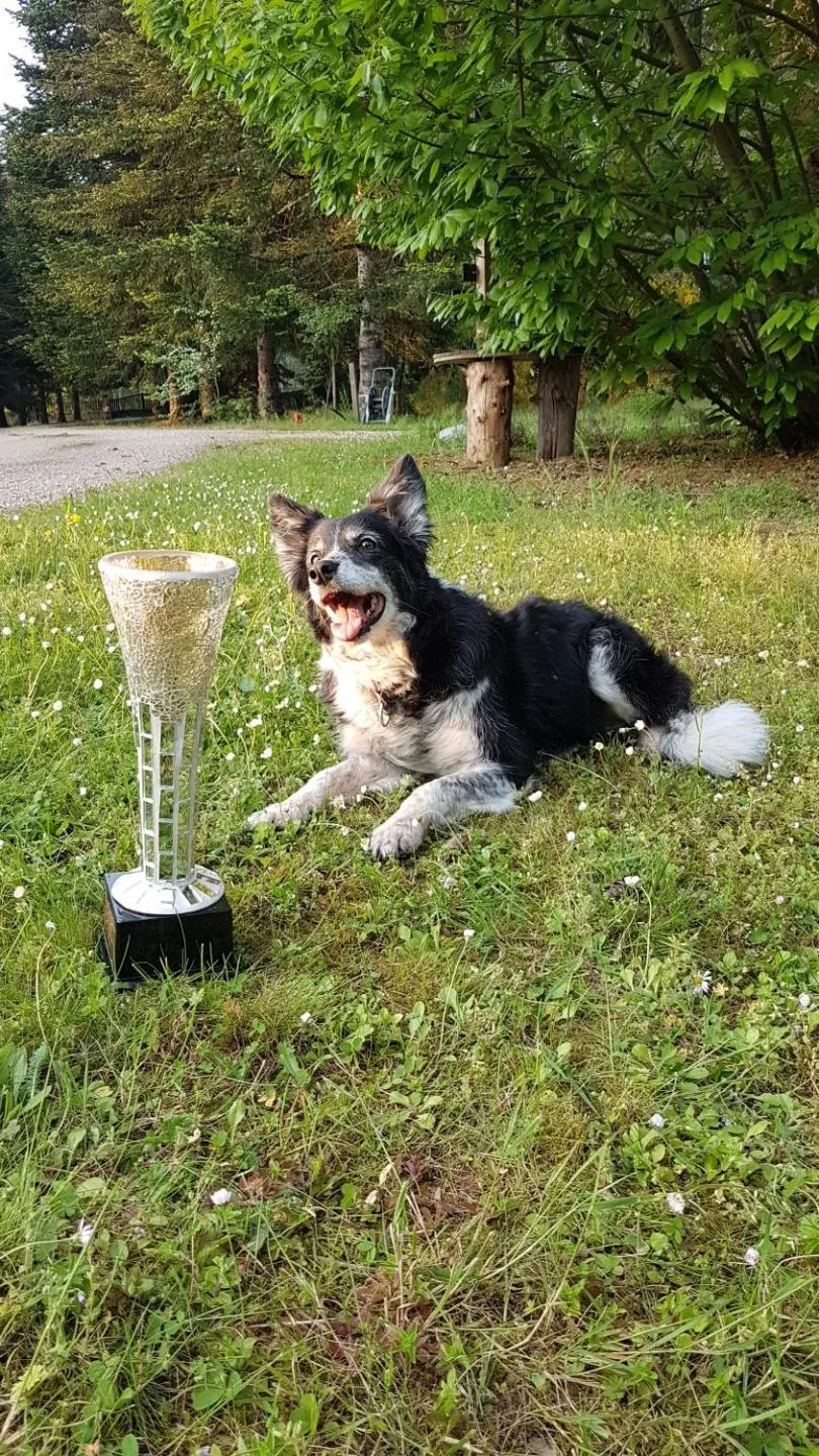 Le Clos des Écureuils