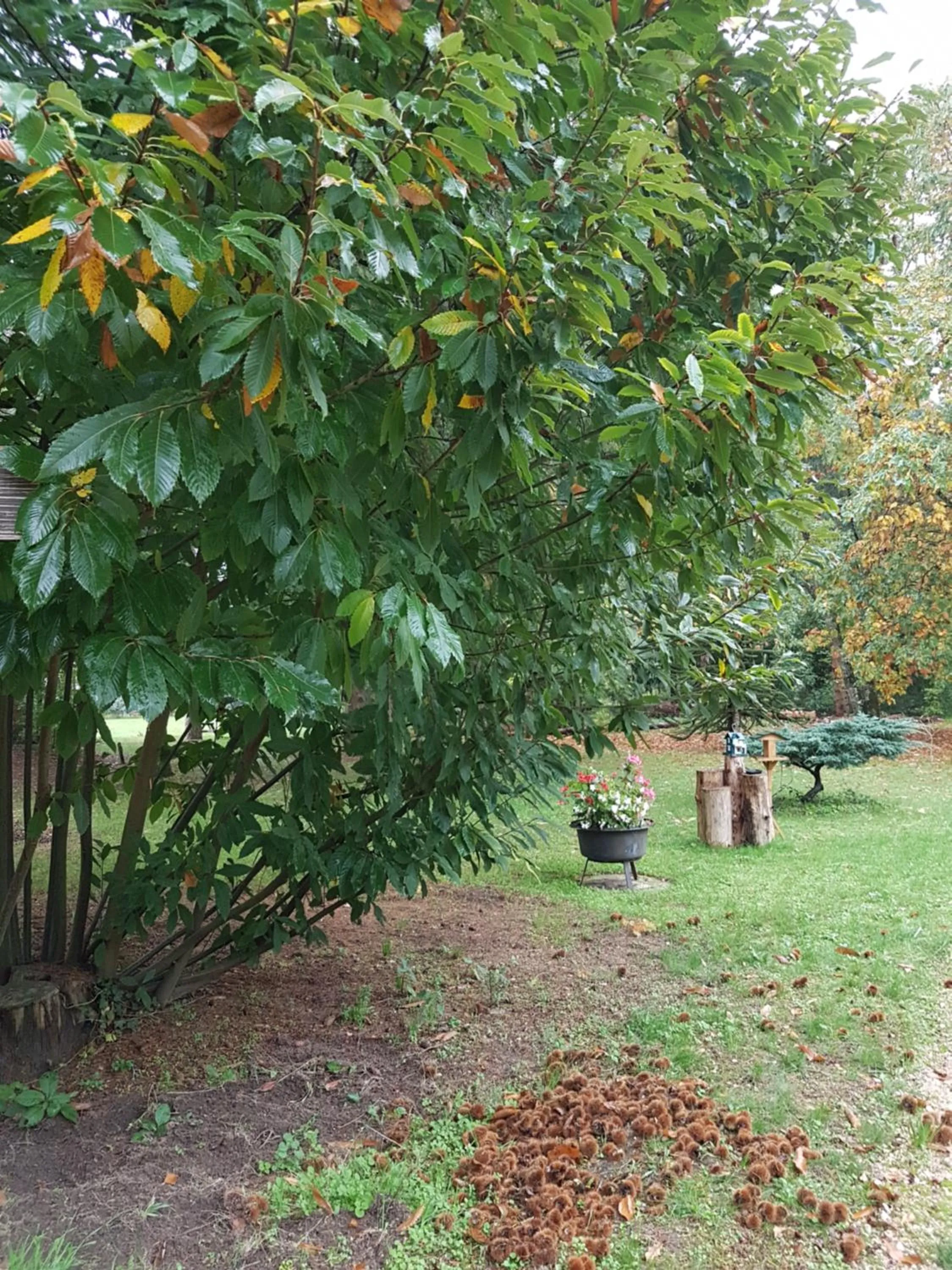 Le Clos des Écureuils