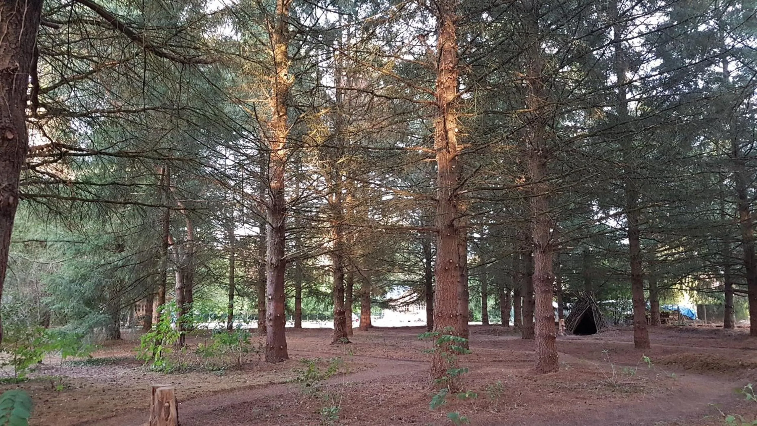 Natural landscape in Le Clos des Écureuils