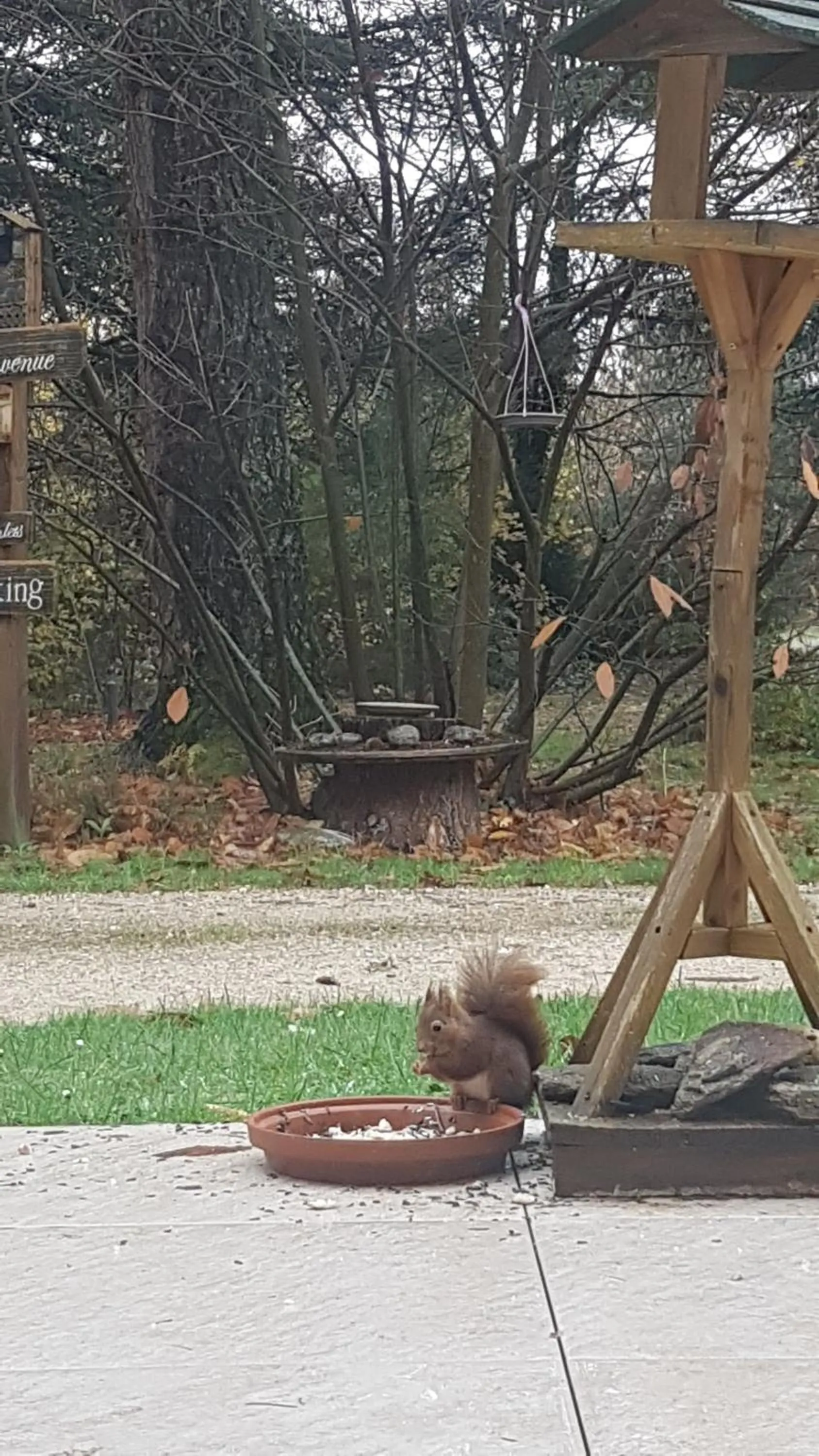 Le Clos des Écureuils