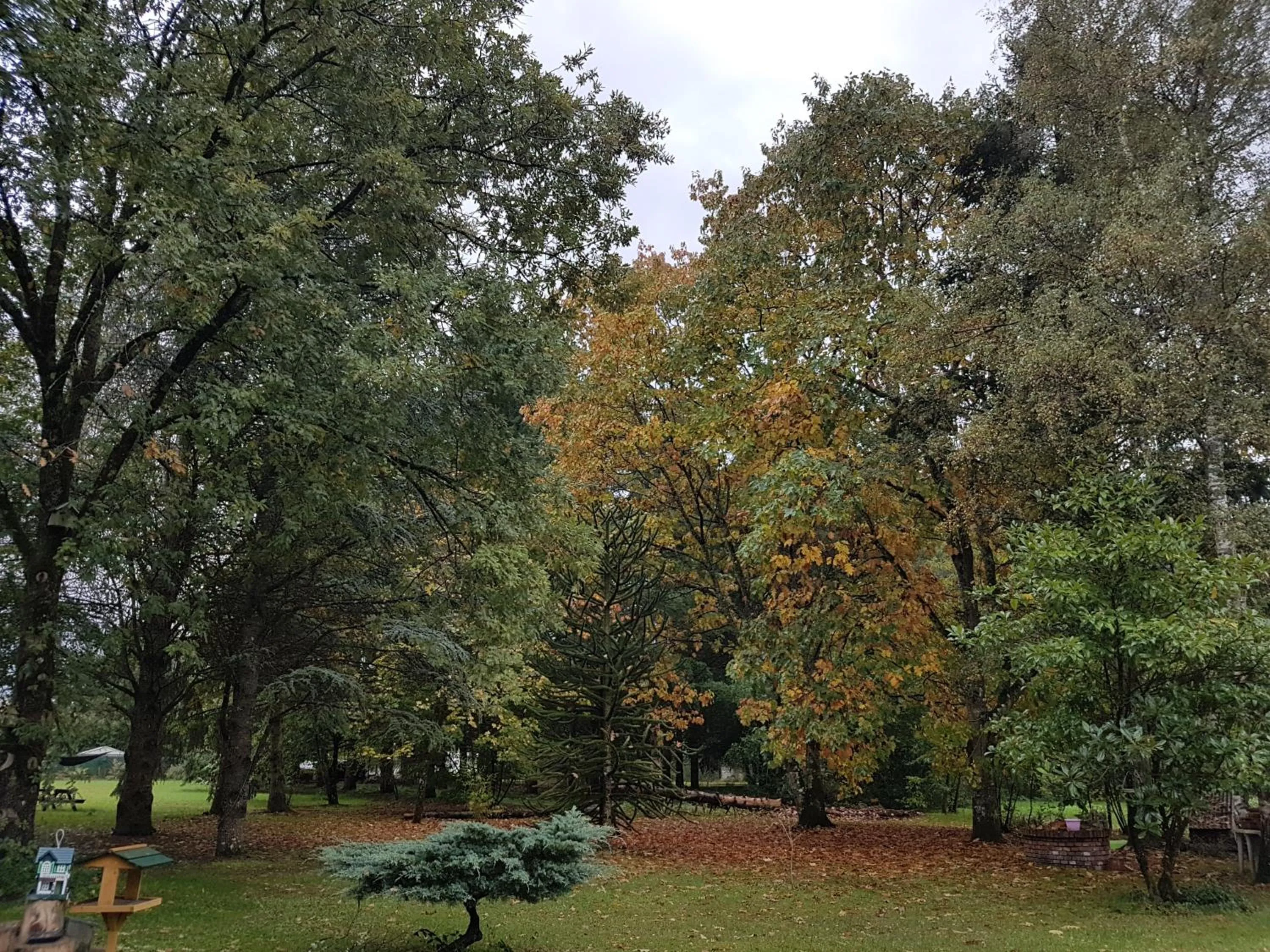 Le Clos des Écureuils