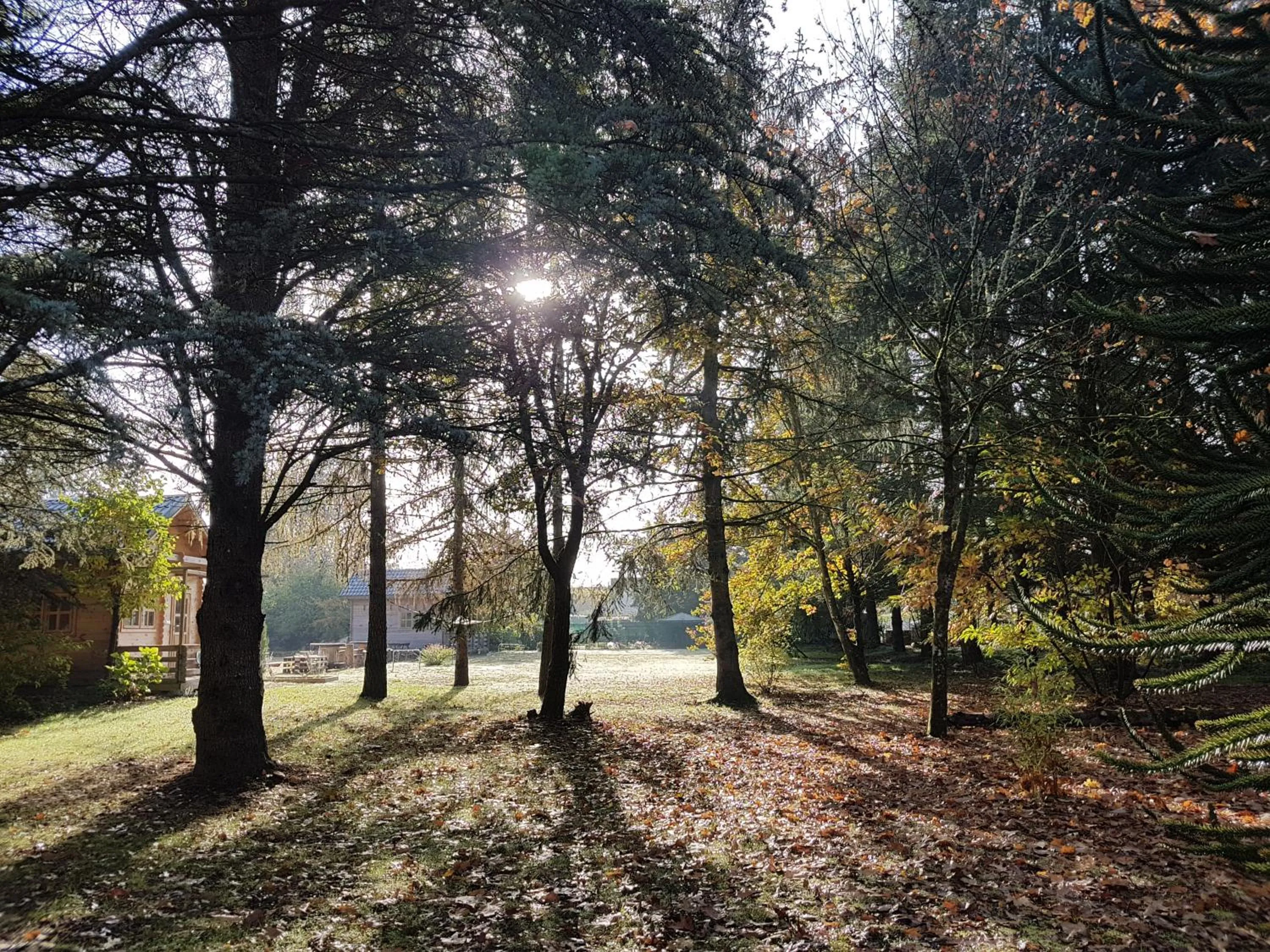 Natural landscape in Le Clos des Écureuils