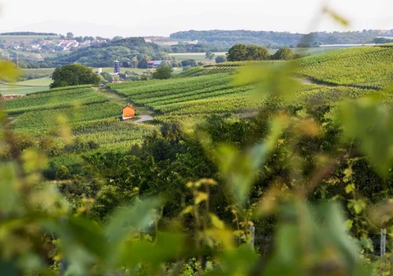 Natural landscape in Hotel & Restaurant Tanne