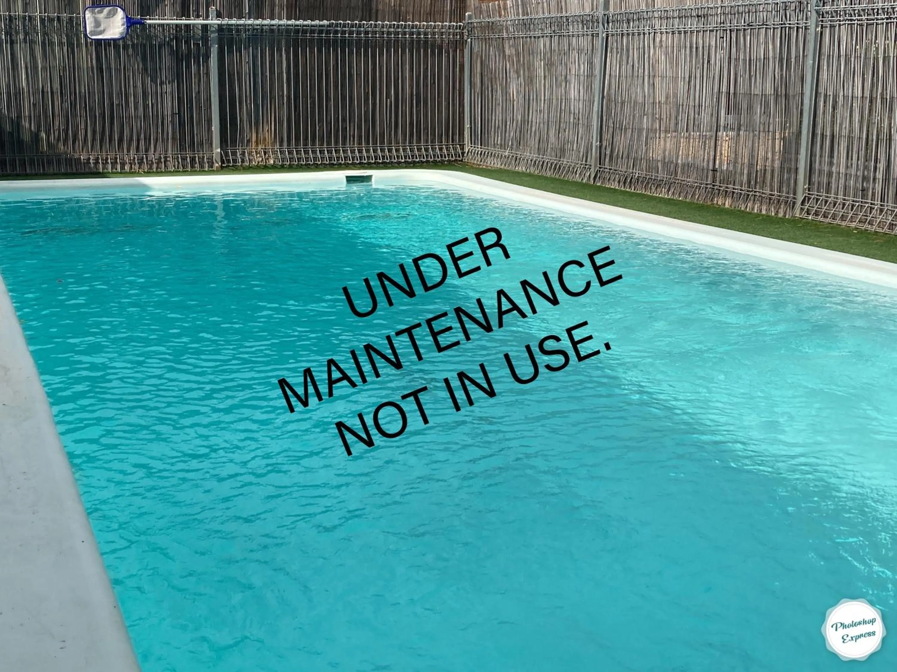 Day in Camellia Motel