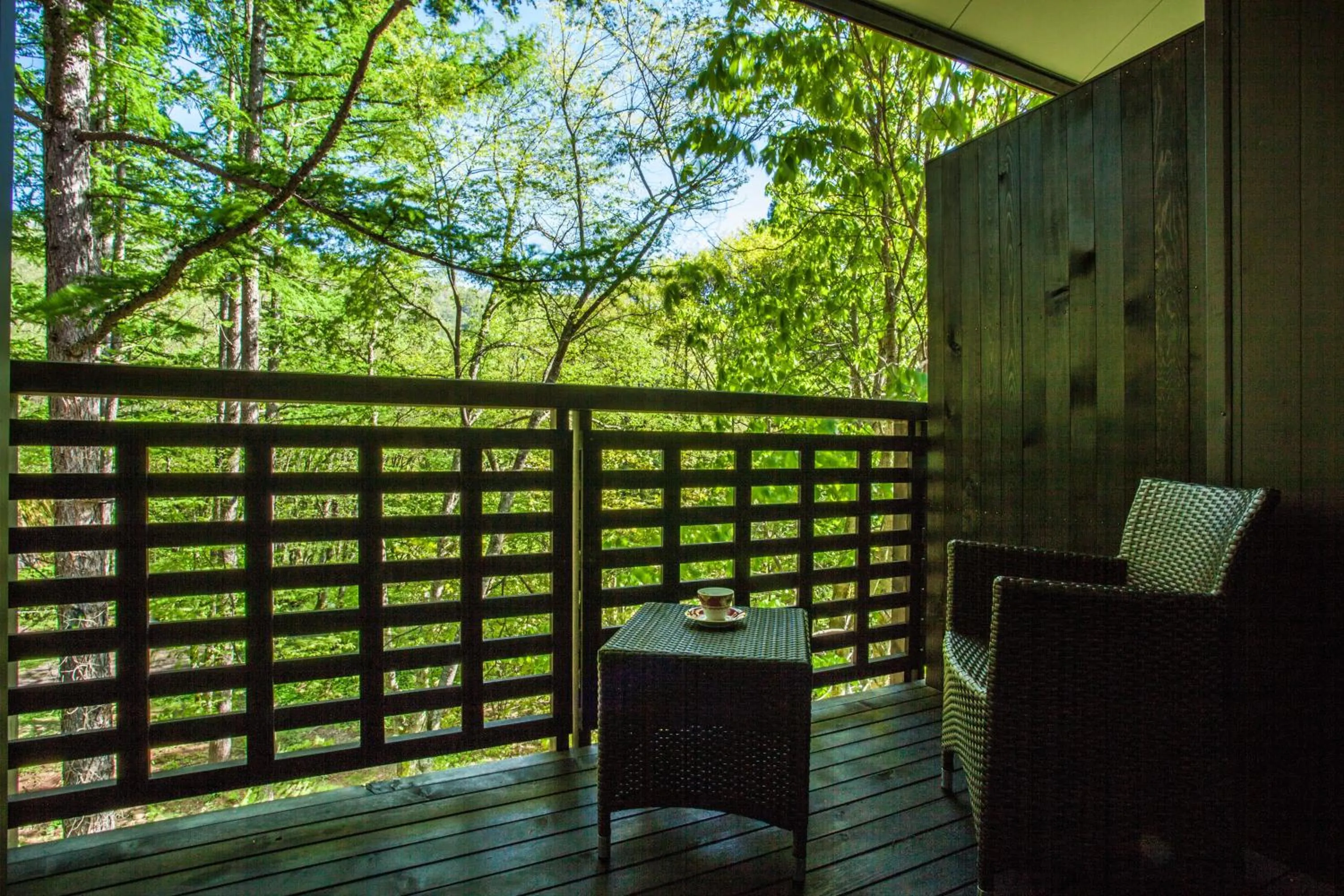 Balcony/Terrace in Takayama Wan Wan Paradise Hotel & Cottage