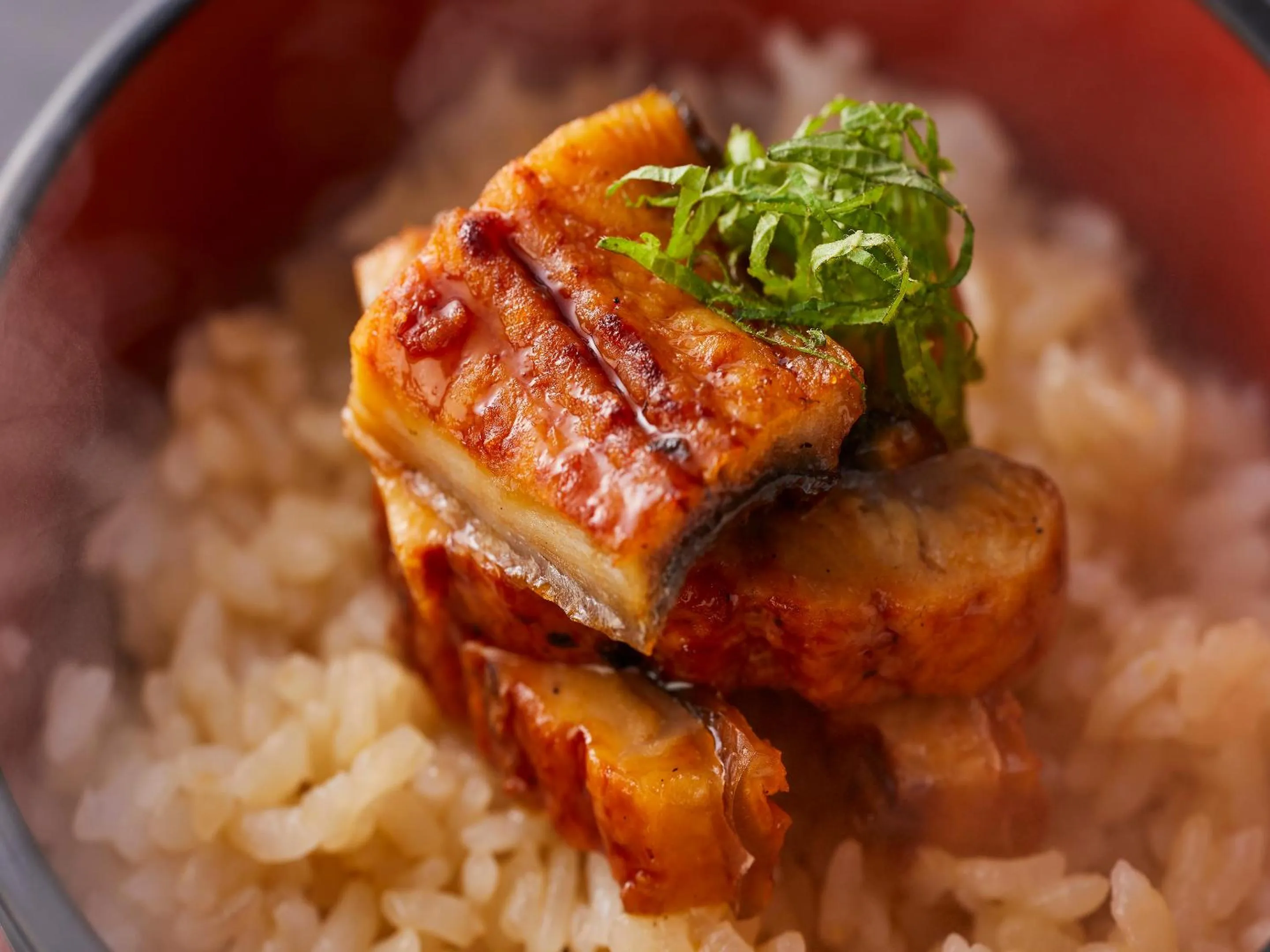 Dinner in Wan Wan Paradise Hamanako