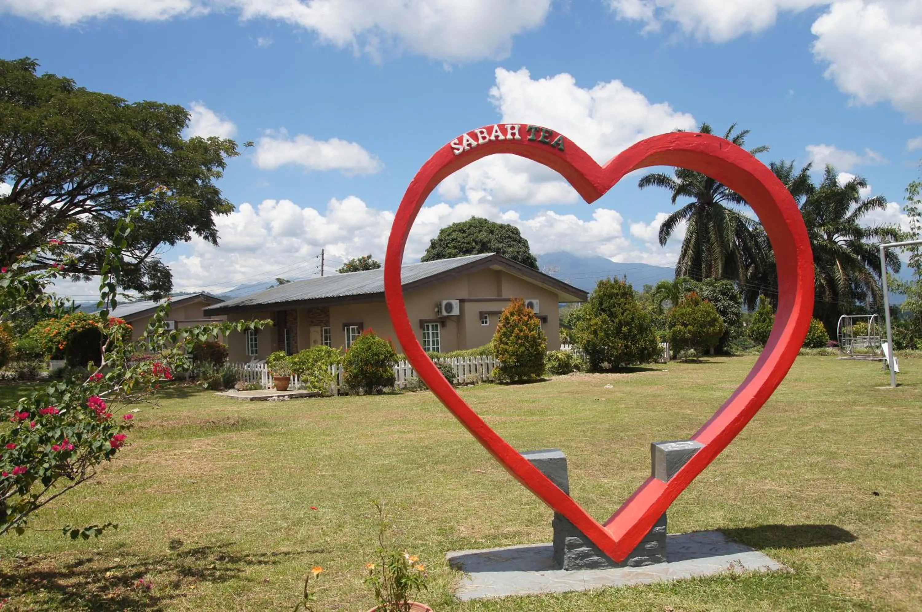 Animals in Sabah Tea Resort