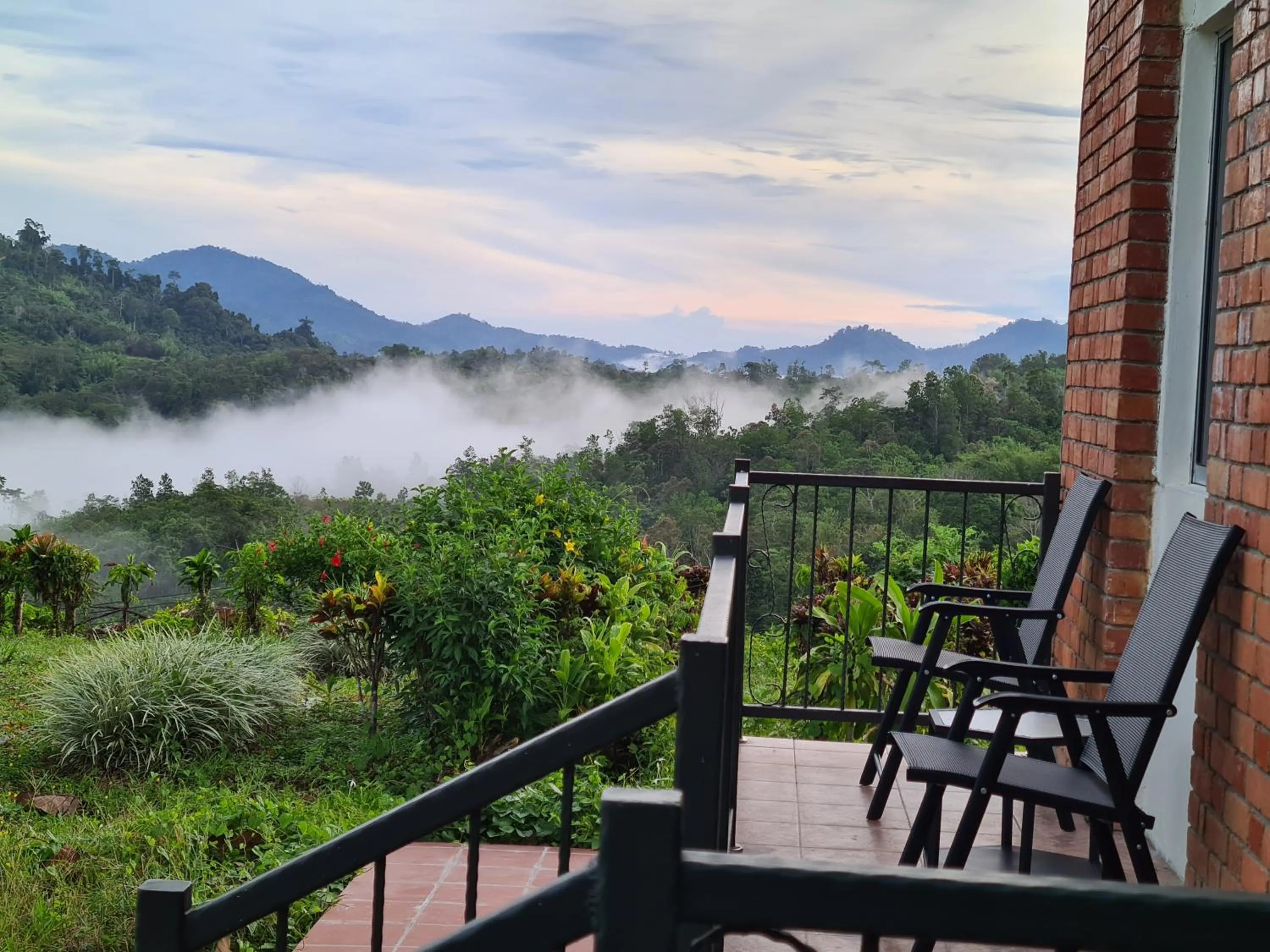 Natural landscape in Sabah Tea Resort