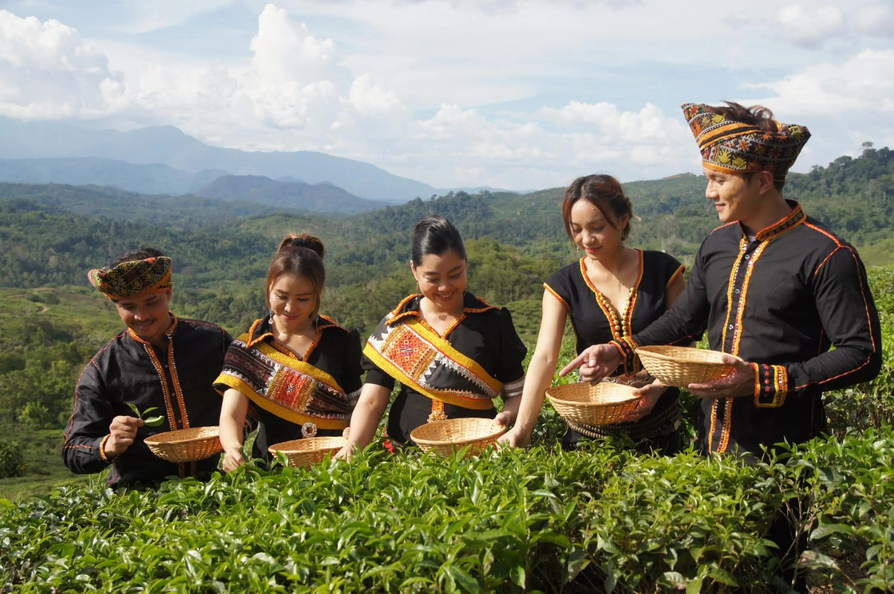 Garden in Sabah Tea Resort