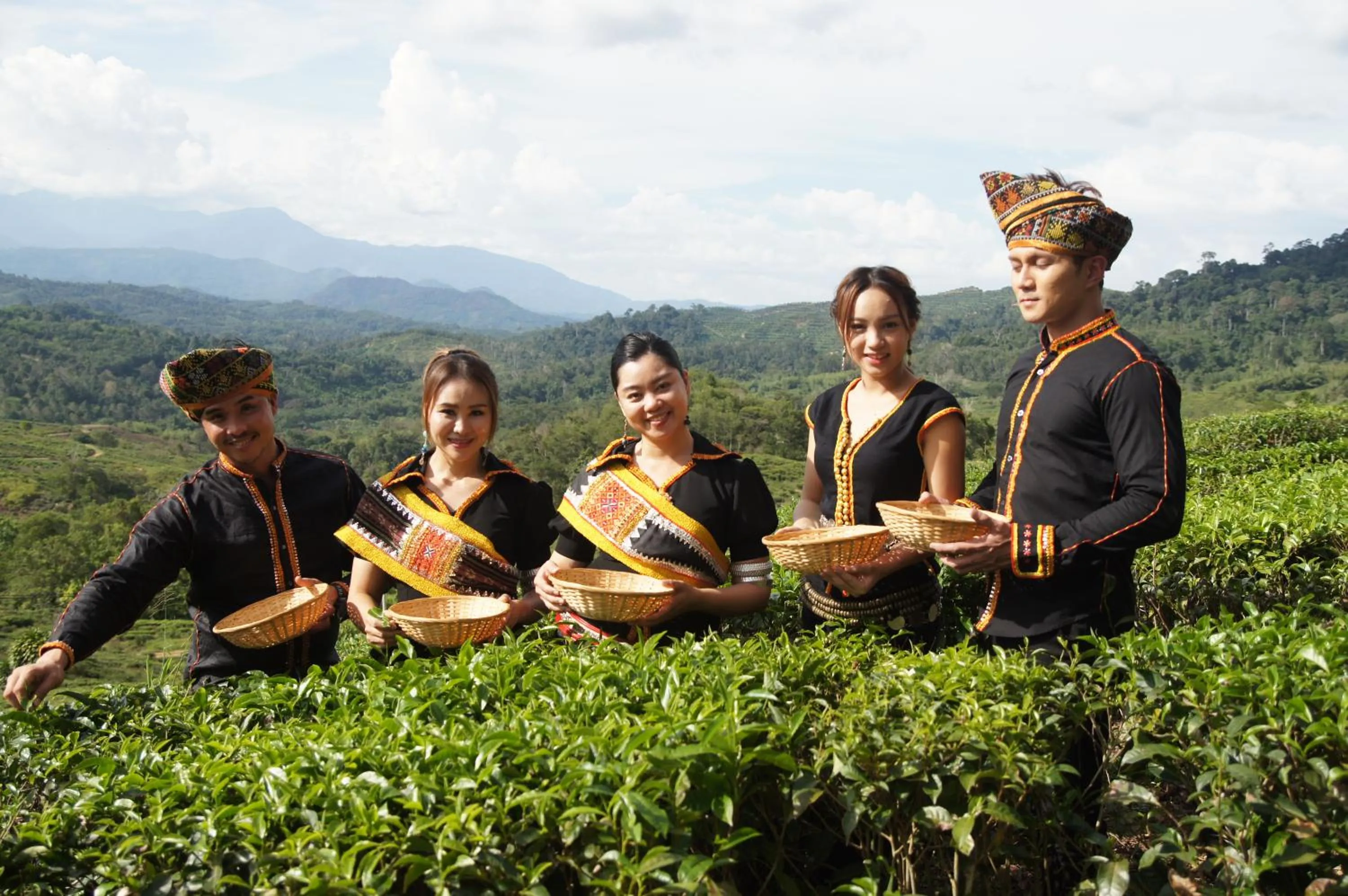 Natural landscape in Sabah Tea Resort