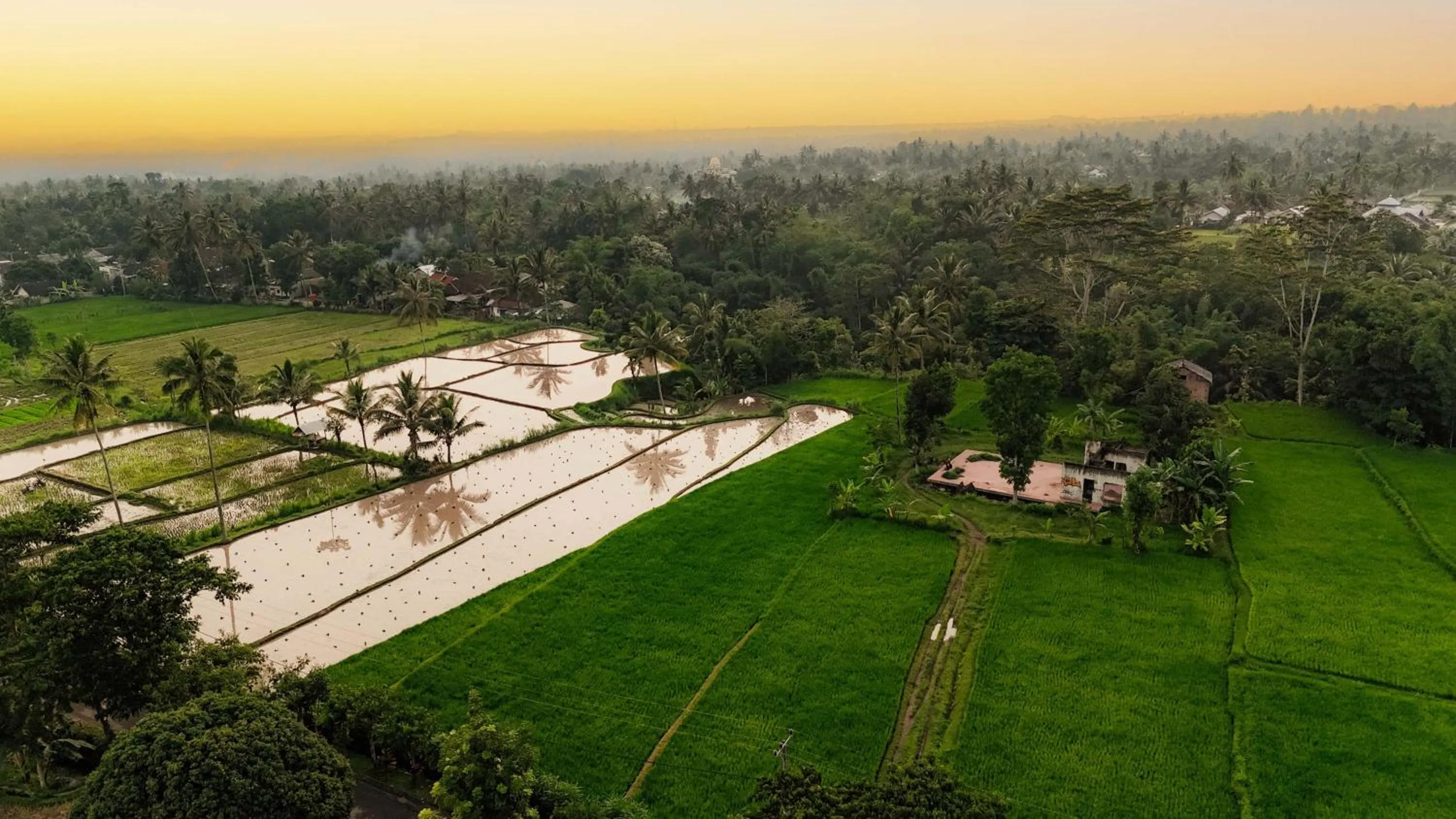 Spring in Pondok Tetebatu Cottages and Cafe