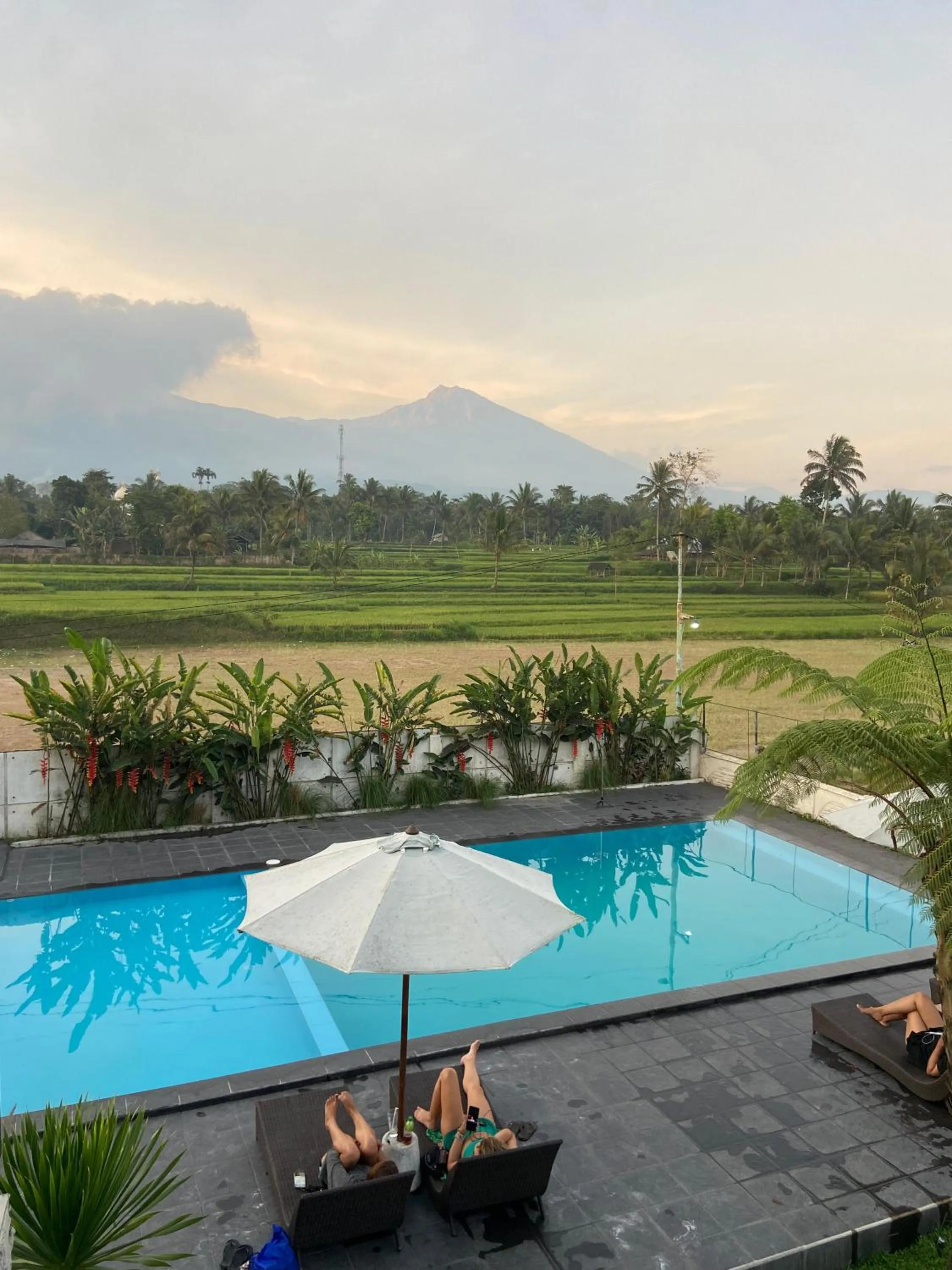 Spring in Pondok Tetebatu Cottages and Cafe