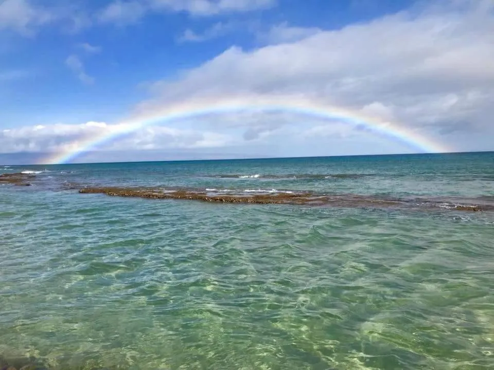 Lahaina Wonderful Condos