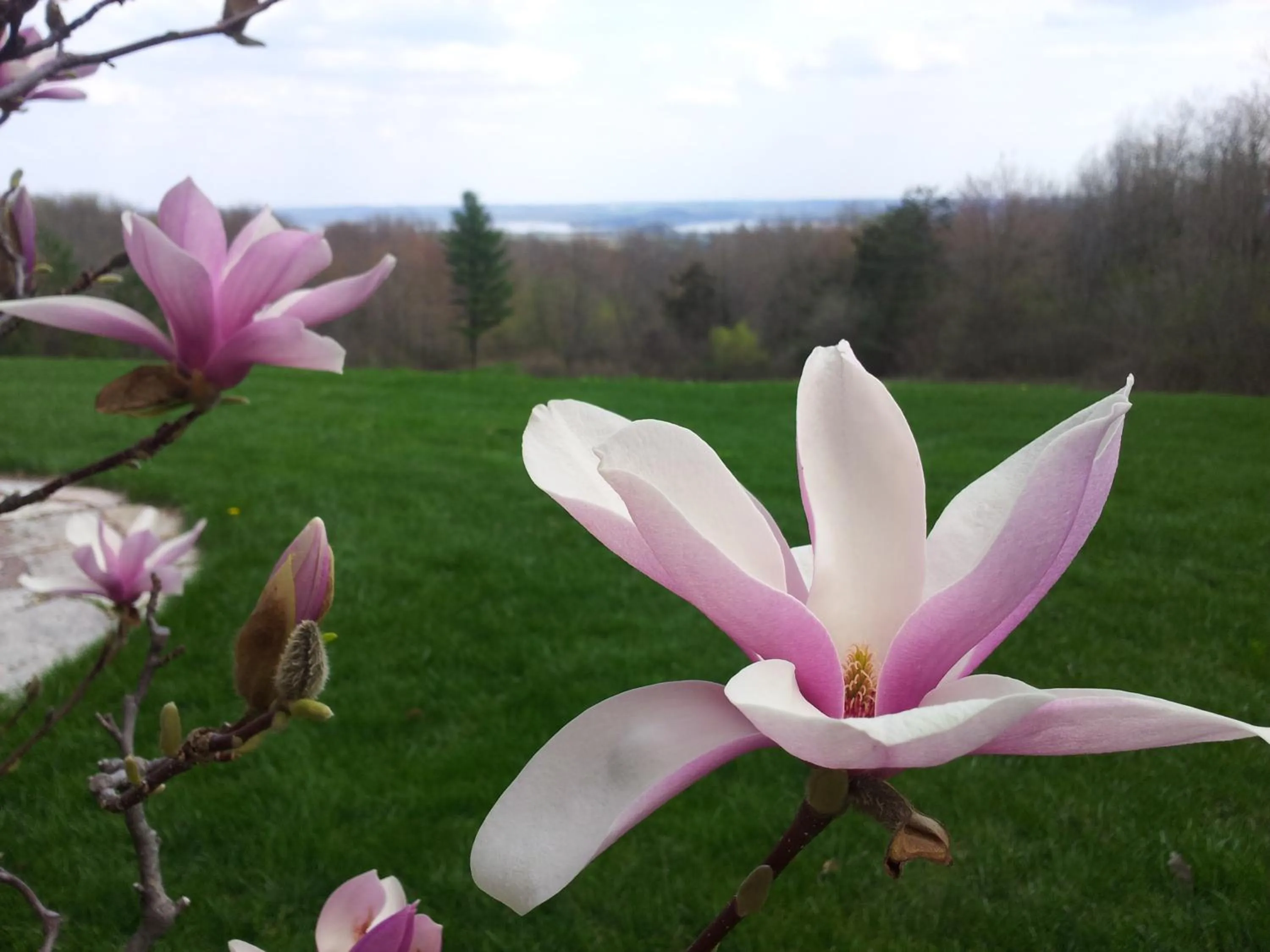 Garden in INN AT WAWANISSEE POINT