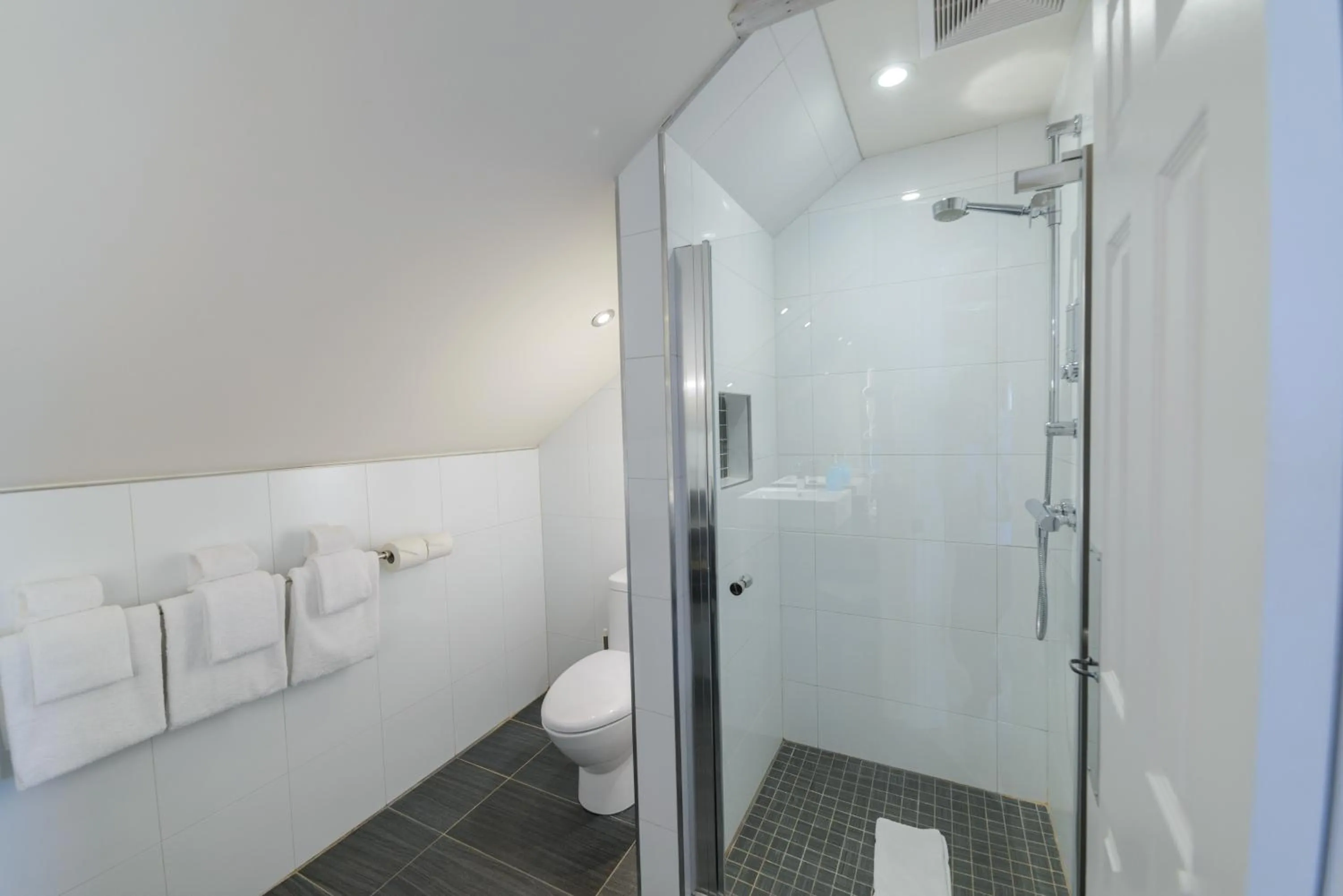 Shower in Auberge aux Deux Lions