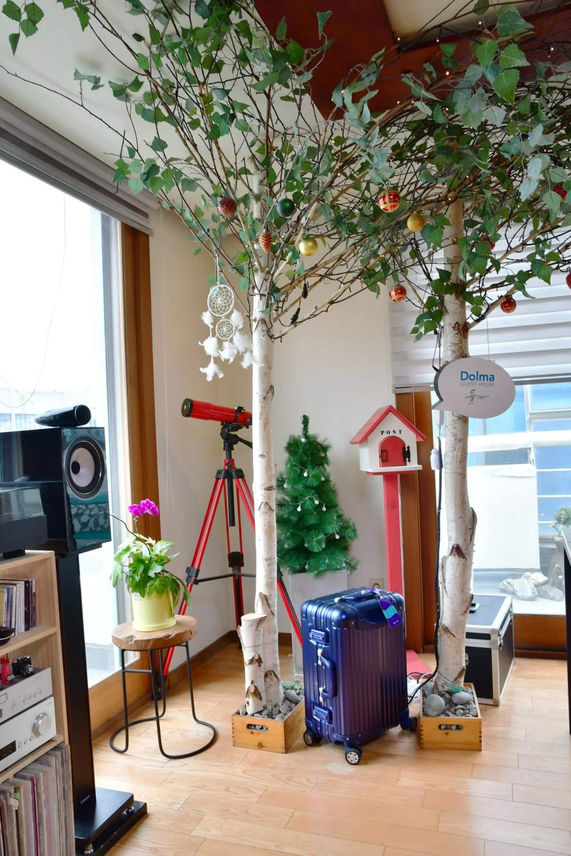 Living room in Dolma Hongdae